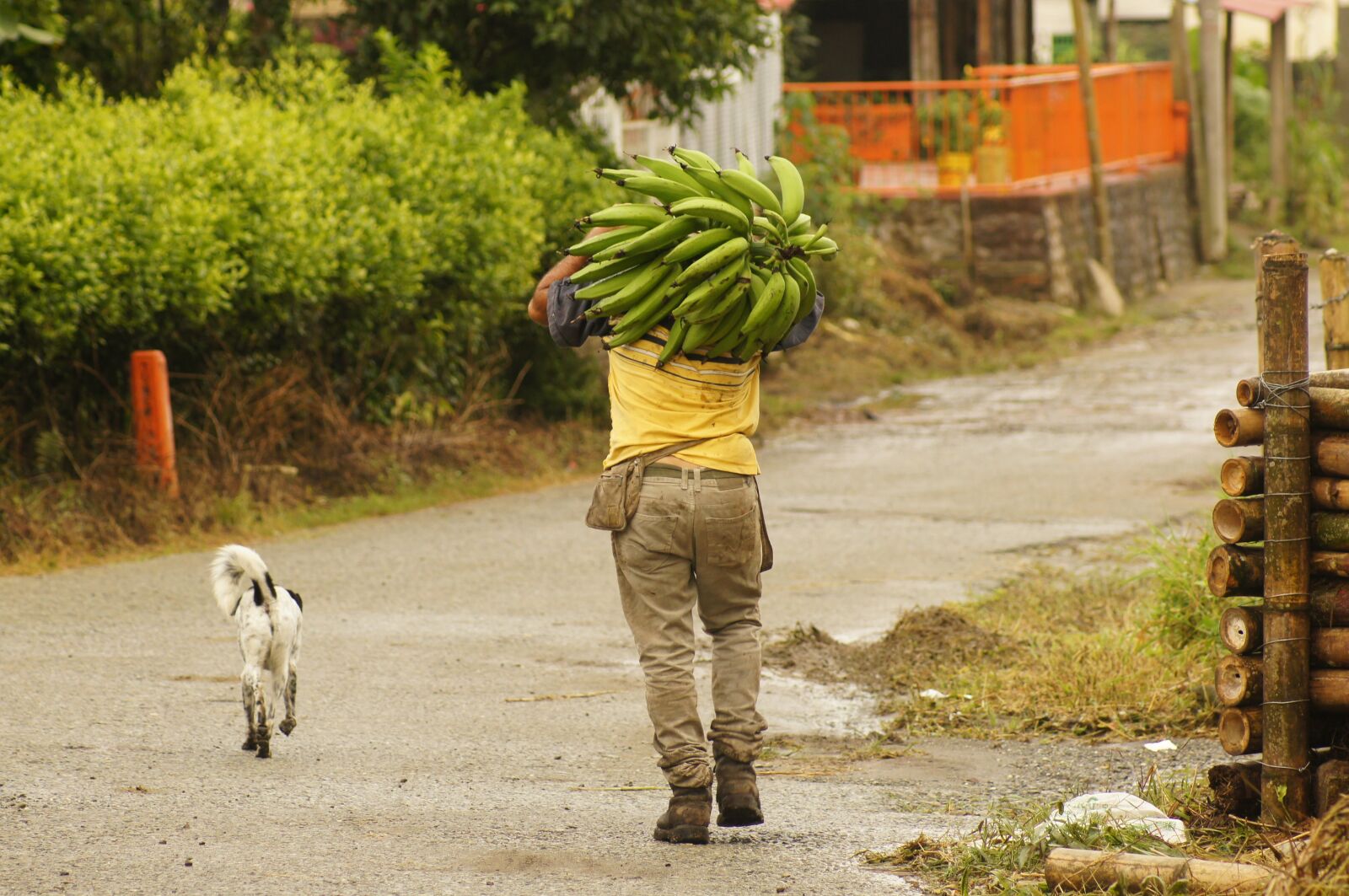 Sony SLT-A55 (SLT-A55V) sample photo. Peasants, finlandia, quindio photography