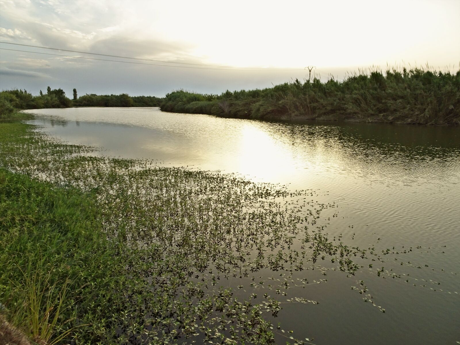 Sony Cyber-shot DSC-WX500 sample photo. River, shore, river shore photography