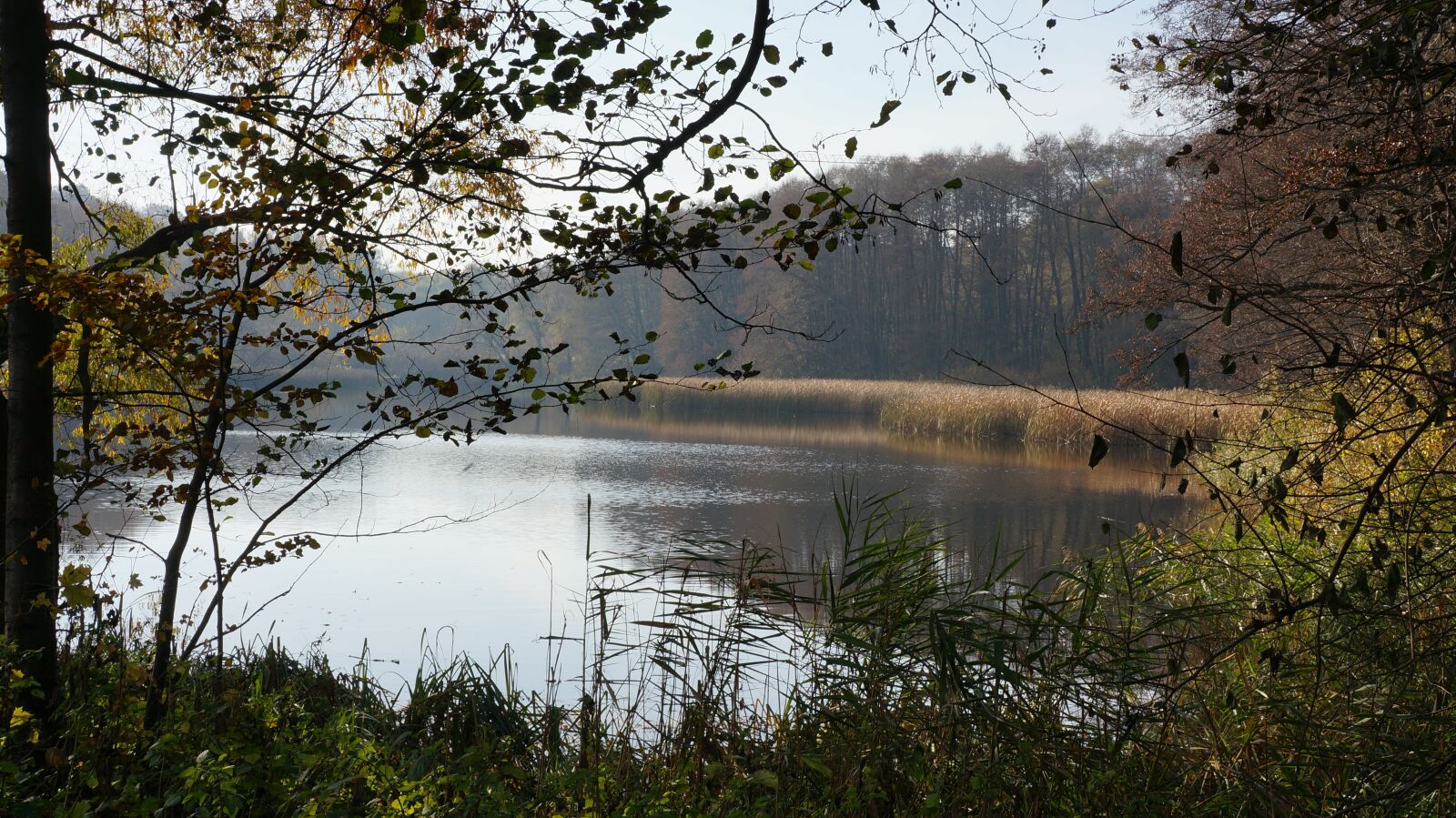 Sony Alpha NEX-5R + Sony E 18-55mm F3.5-5.6 OSS sample photo. Autumn, lake, forest photography