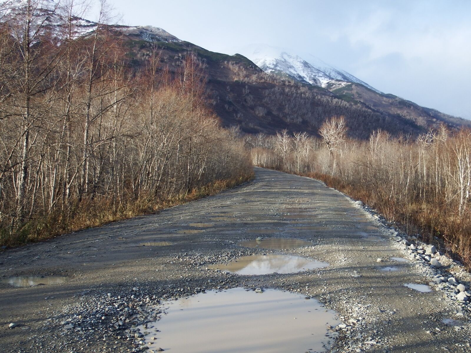 Fujifilm FinePix S1 sample photo. Road, puddles, late autumn photography