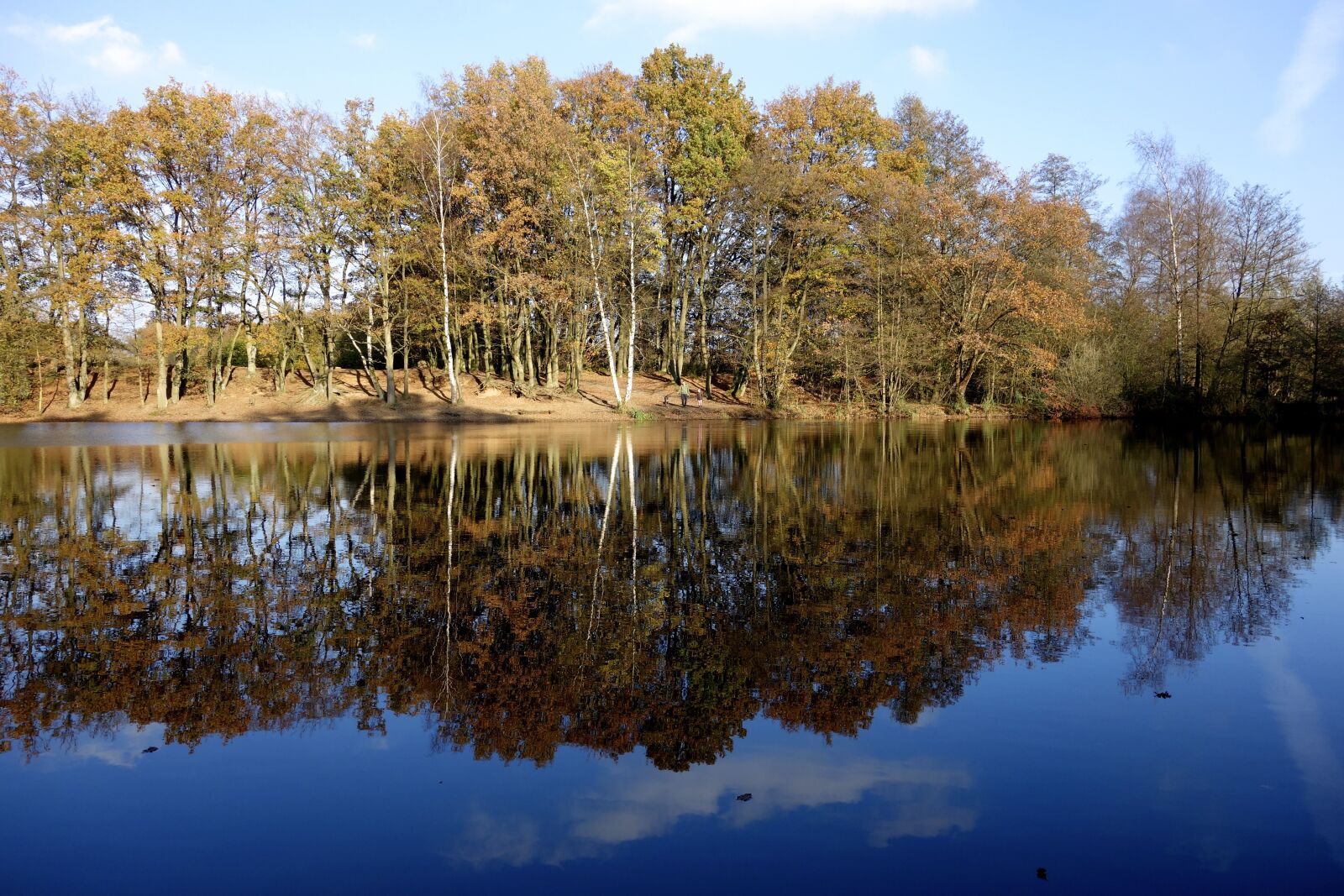 Sony Cyber-shot DSC-RX100 sample photo. Pond, water, lake photography