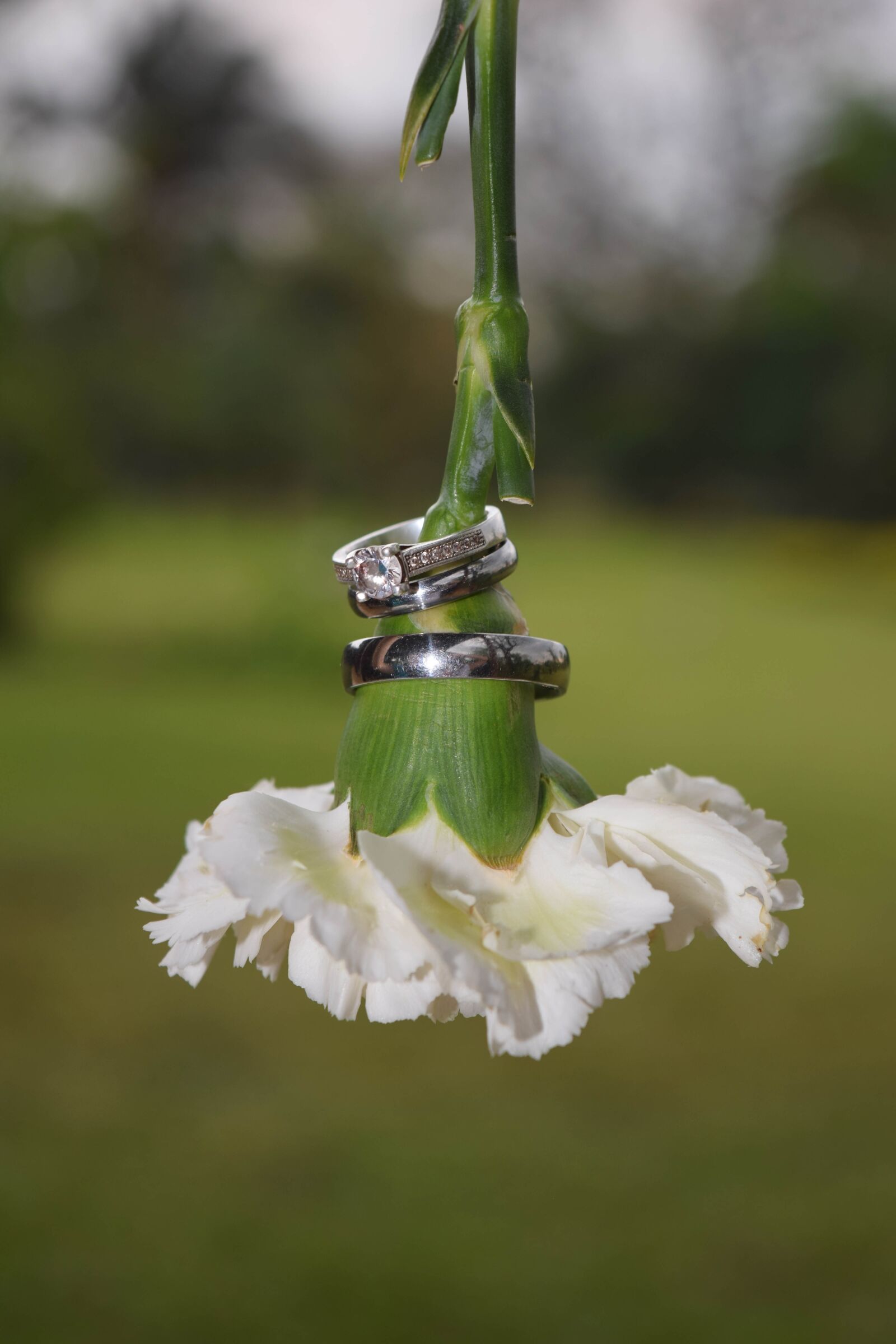 Nikon D3300 sample photo. Wedding, flower, white photography