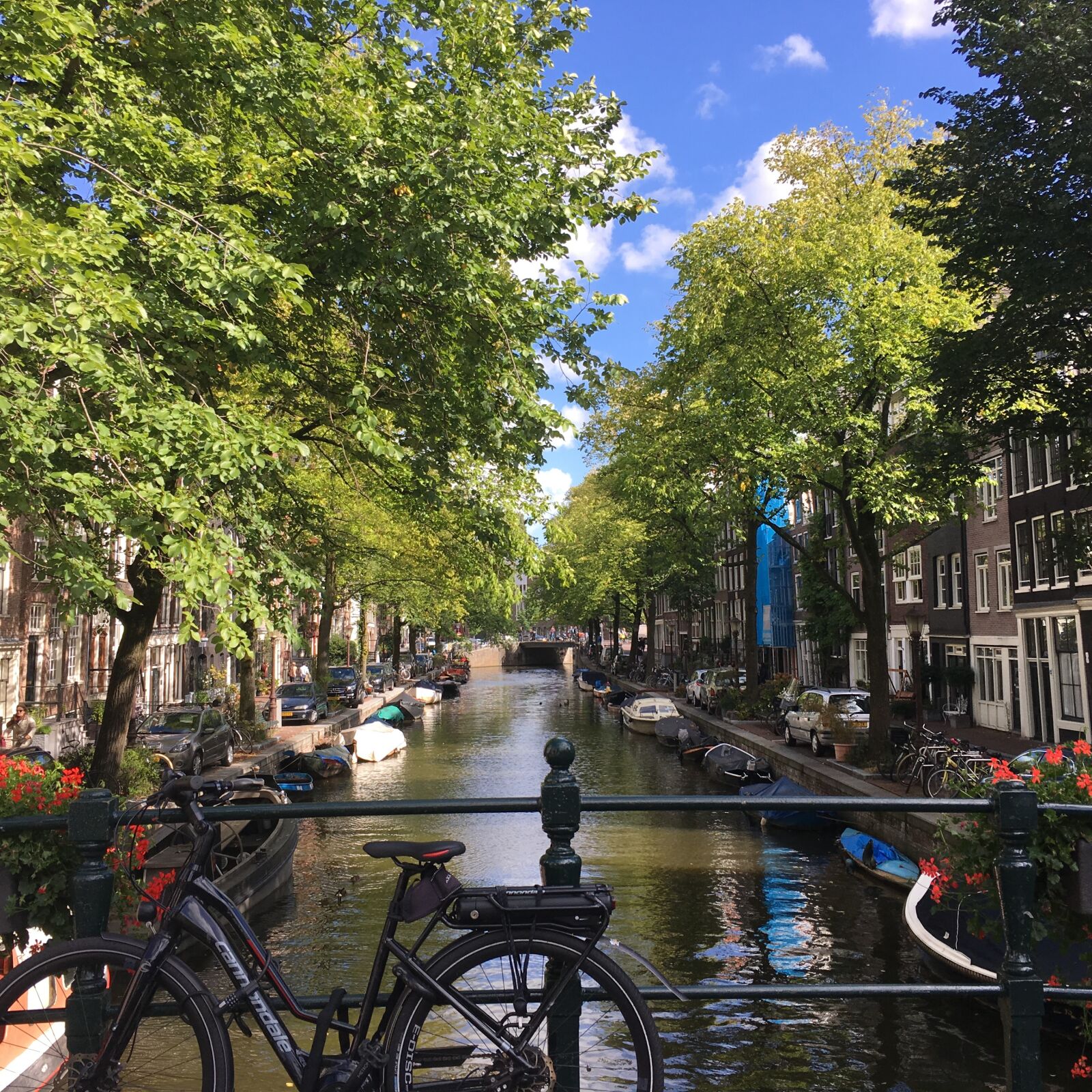 iPhone SE back camera 4.15mm f/2.2 sample photo. Amsterdam photography