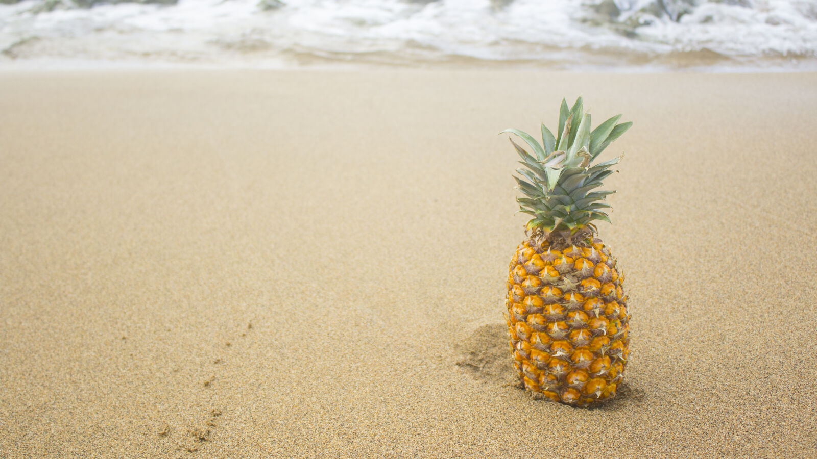 Canon EOS 1200D (EOS Rebel T5 / EOS Kiss X70 / EOS Hi) sample photo. Puertorico, pina, tropical photography