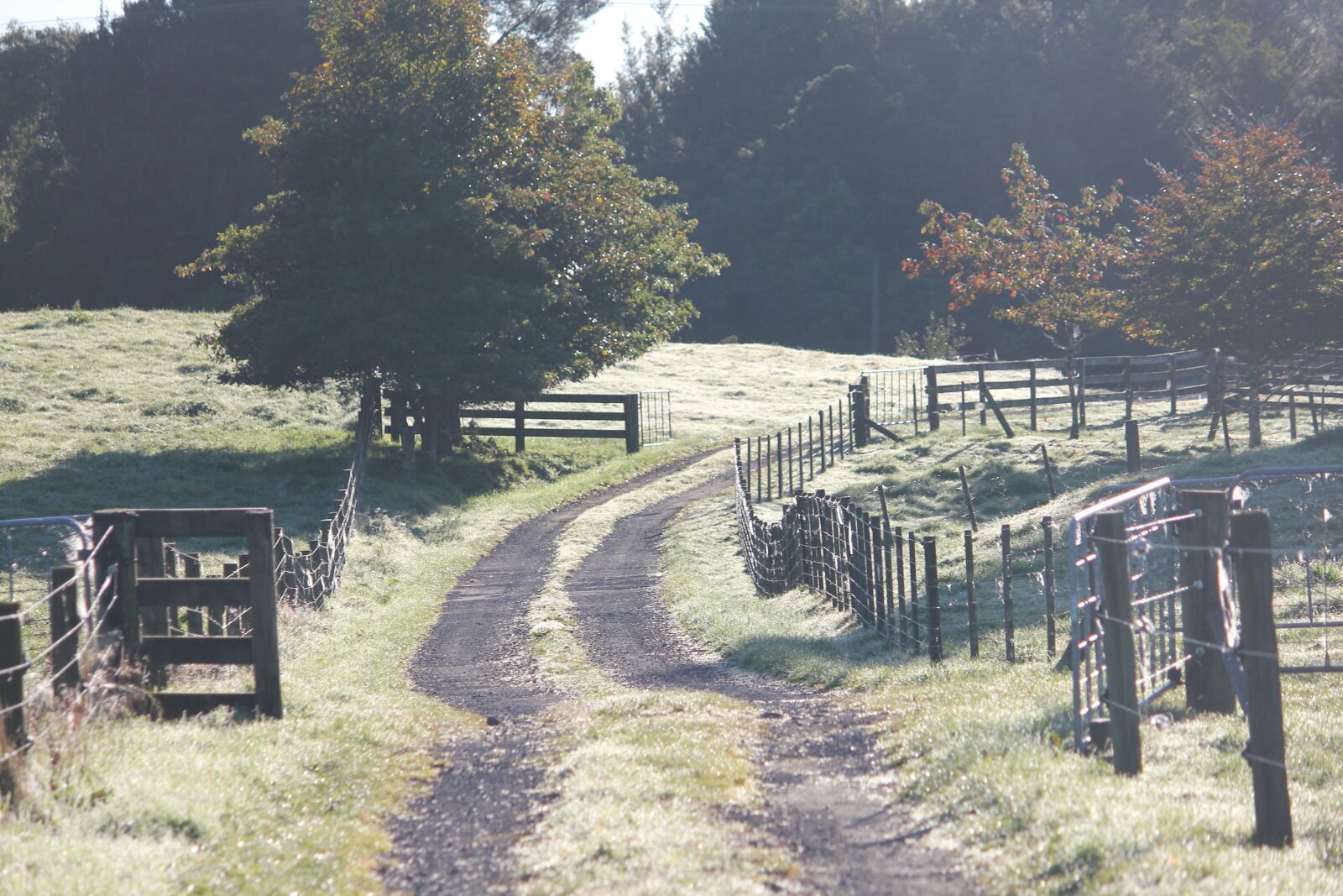 Canon EOS 550D (EOS Rebel T2i / EOS Kiss X4) sample photo. Farm, track, outdoors photography