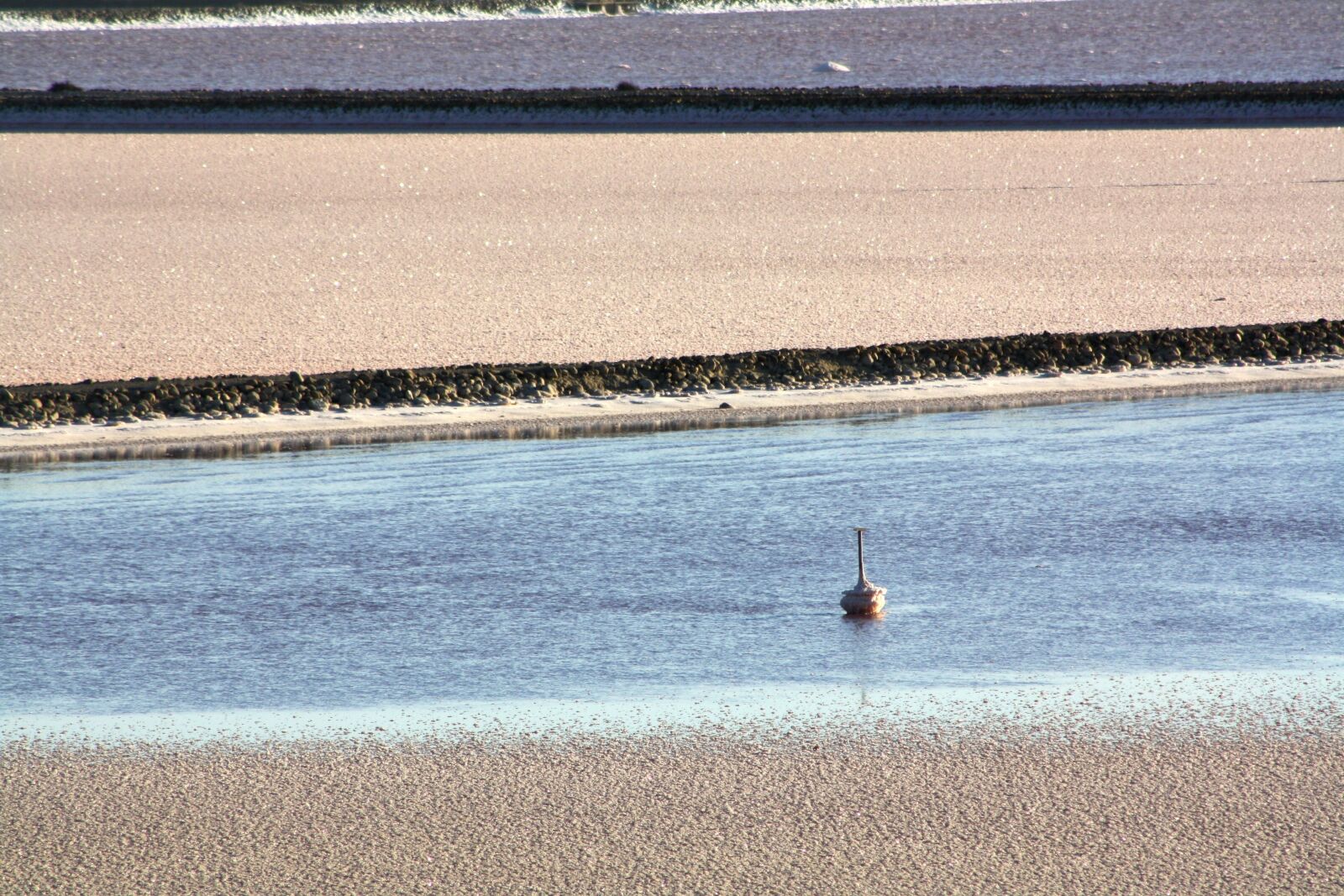 Canon EOS 1000D (EOS Digital Rebel XS / EOS Kiss F) sample photo. Nature, camargue, landscapes photography