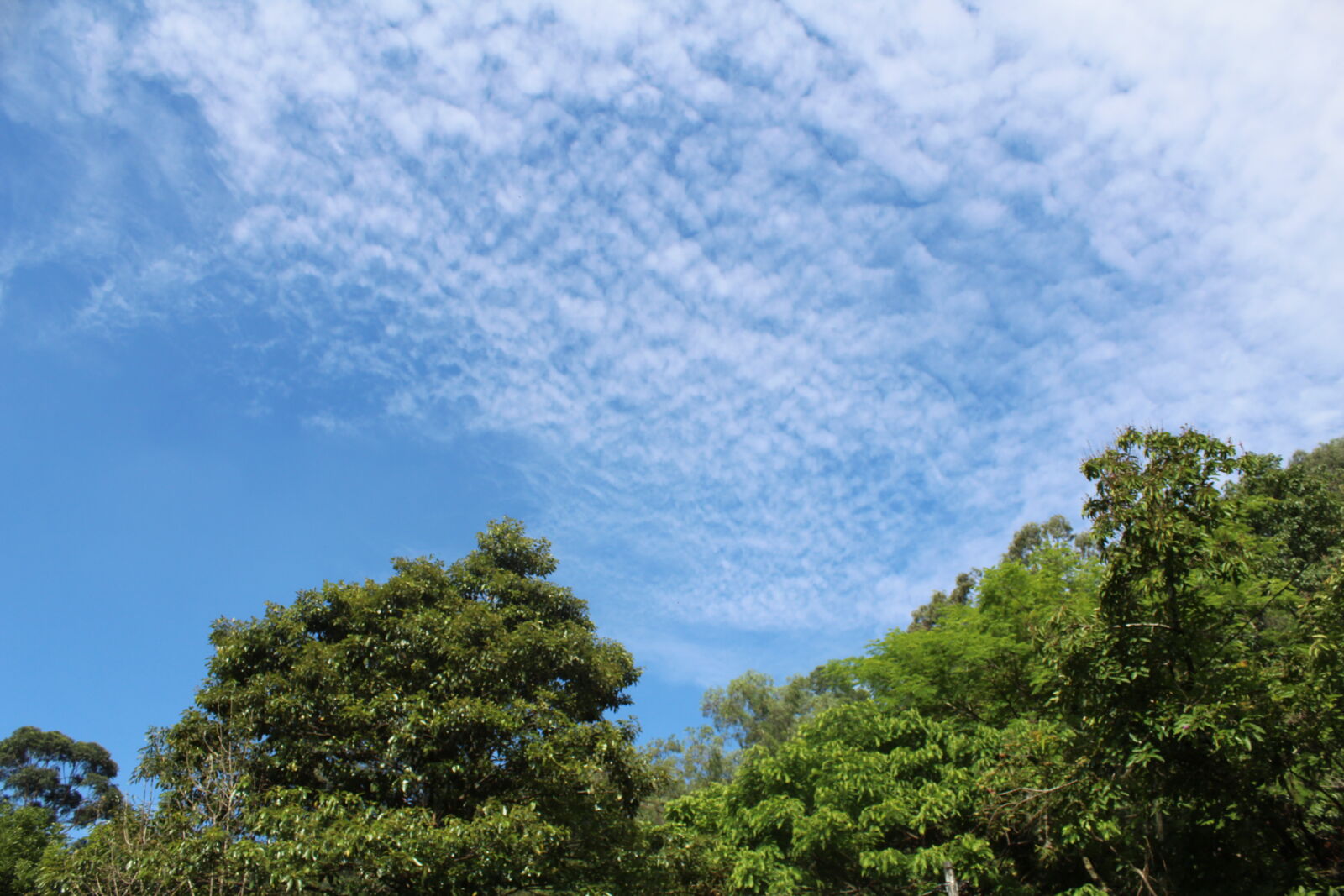 Canon EOS 1300D (EOS Rebel T6 / EOS Kiss X80) sample photo. Clouds, sky, three photography