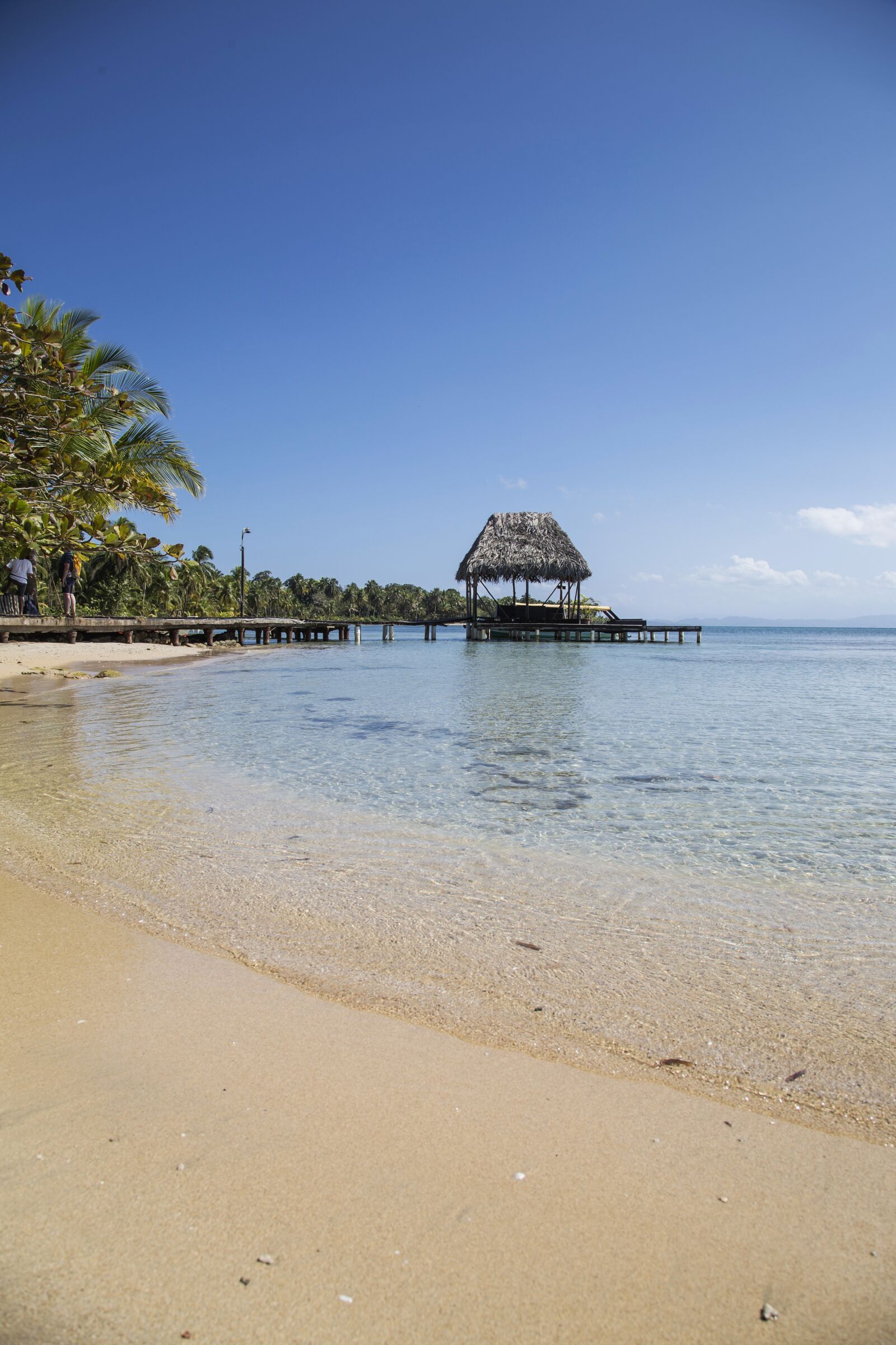 Canon EOS 6D + Canon EF 24-105mm F4L IS USM sample photo. Beach, hut, palm photography