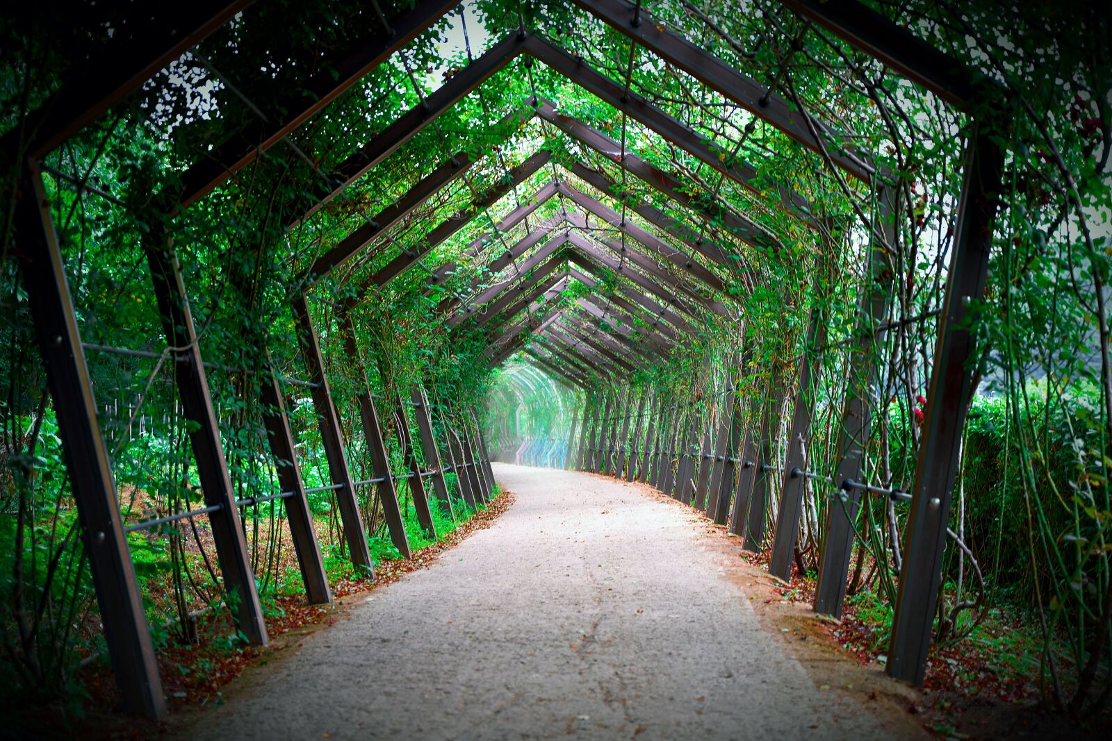Tamron 28-75mm F2.8 Di III RXD sample photo. Tunnel, gil, landscape photography