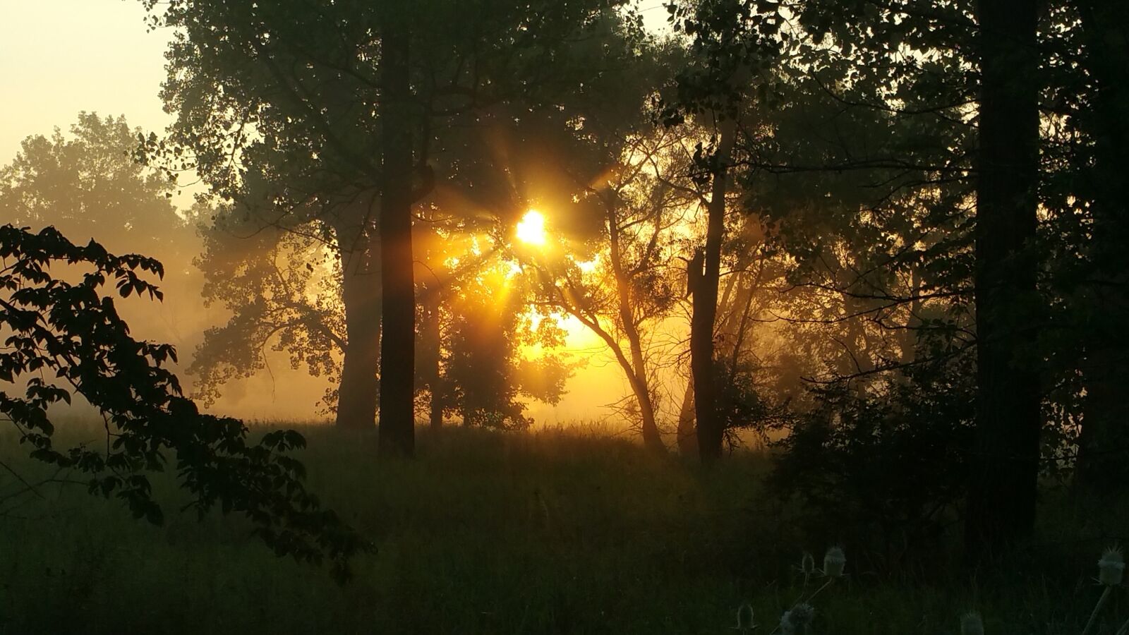 Samsung Galaxy Note4 sample photo. Sunrise, summer, morning photography