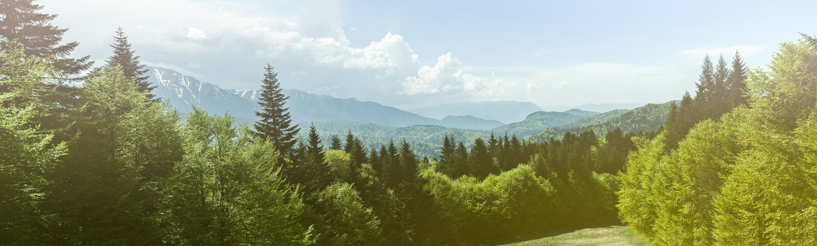 Canon EF 50mm F1.8 II sample photo. Alpine, blue, mountains, grass photography