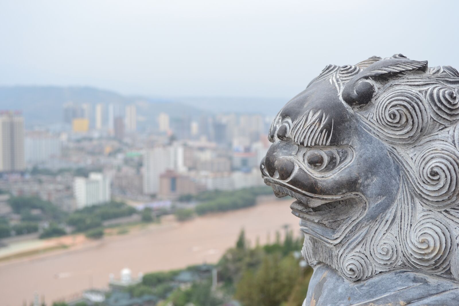 Nikon D3100 sample photo. Lanzhou, yellow river, beef photography