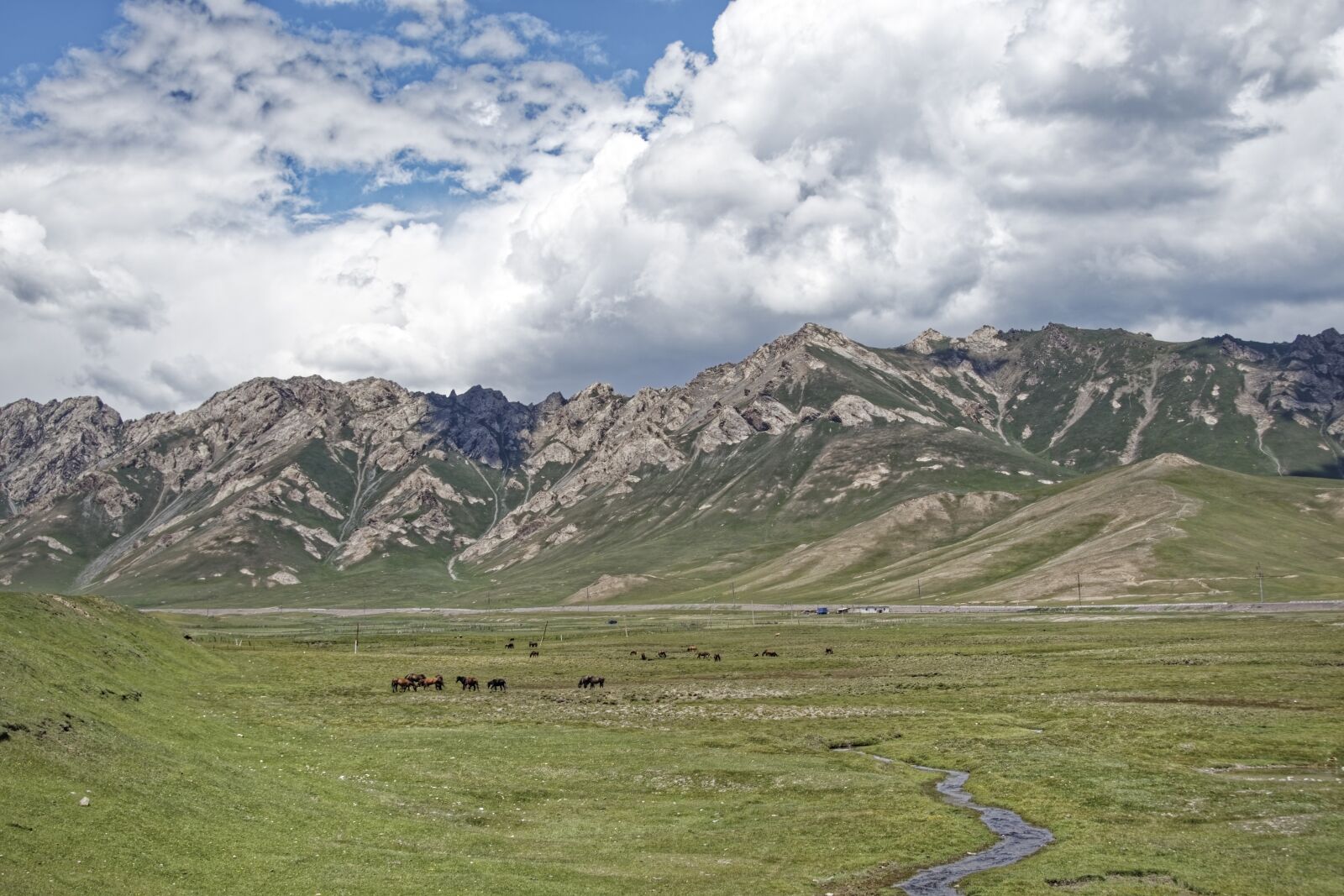 Nikon D500 sample photo. Kyrgyzstan, alai-mountains, alai valley photography