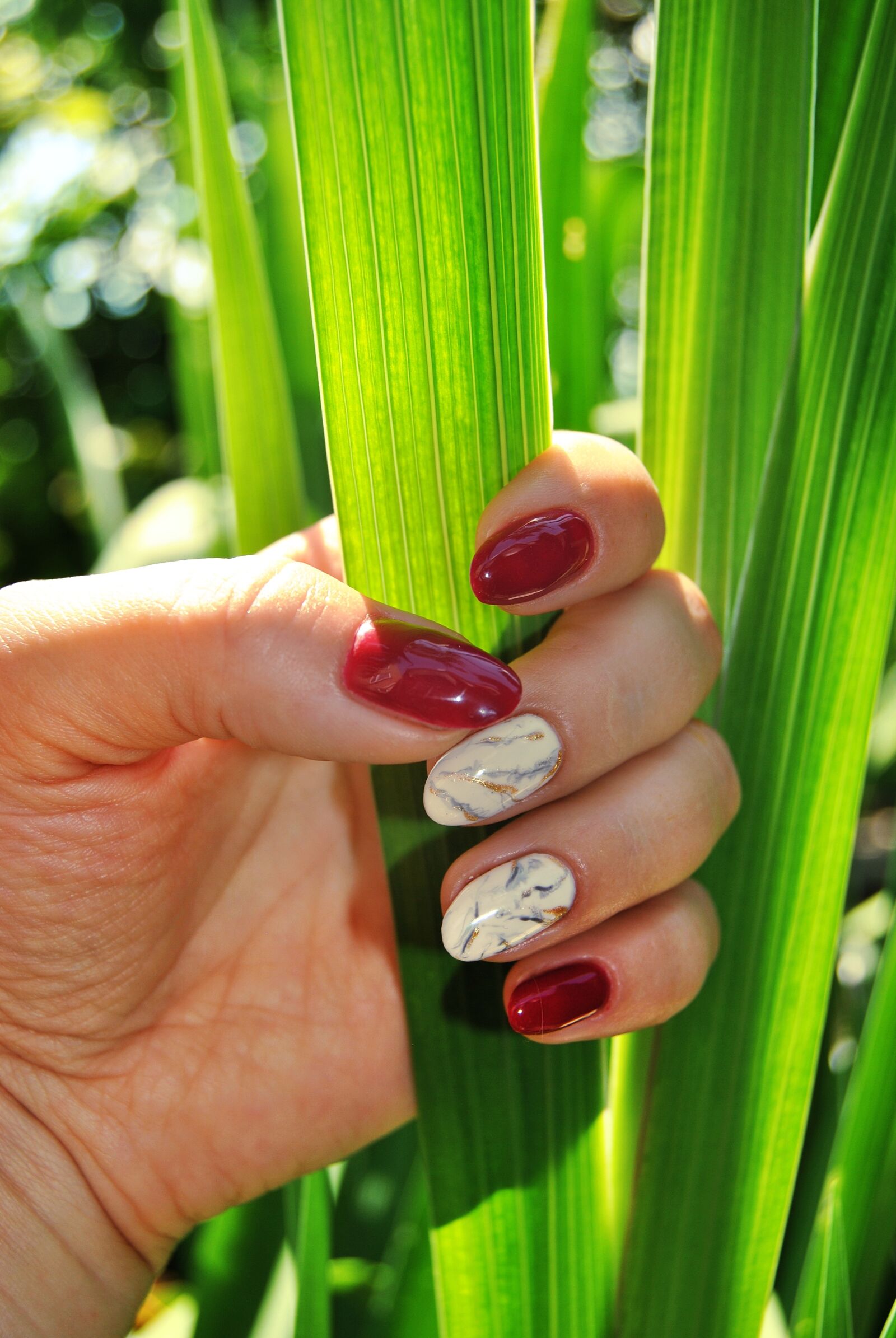 Nikon D3000 sample photo. Hand, the hand, varnish photography