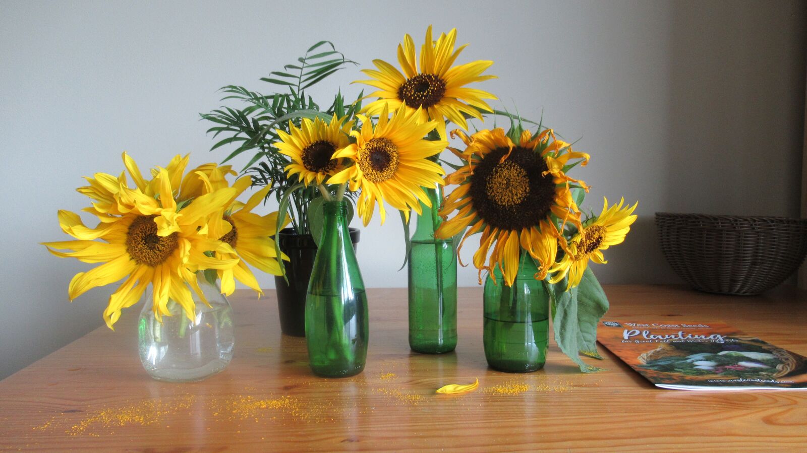 Canon PowerShot SX620 HS sample photo. Sunflower, home, decoration photography
