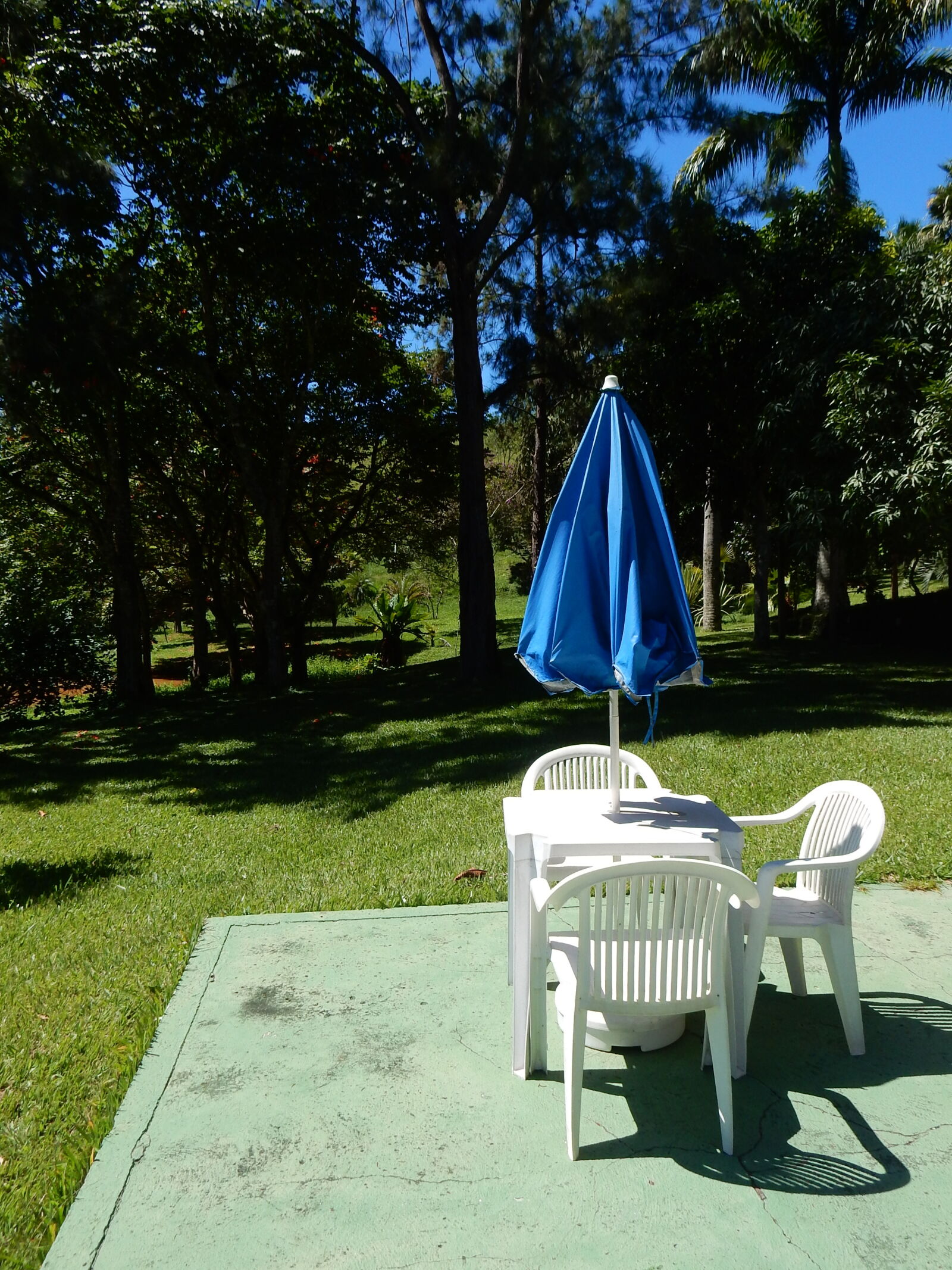 Nikon Coolpix S9900 sample photo. Chair, umbrella, woods photography