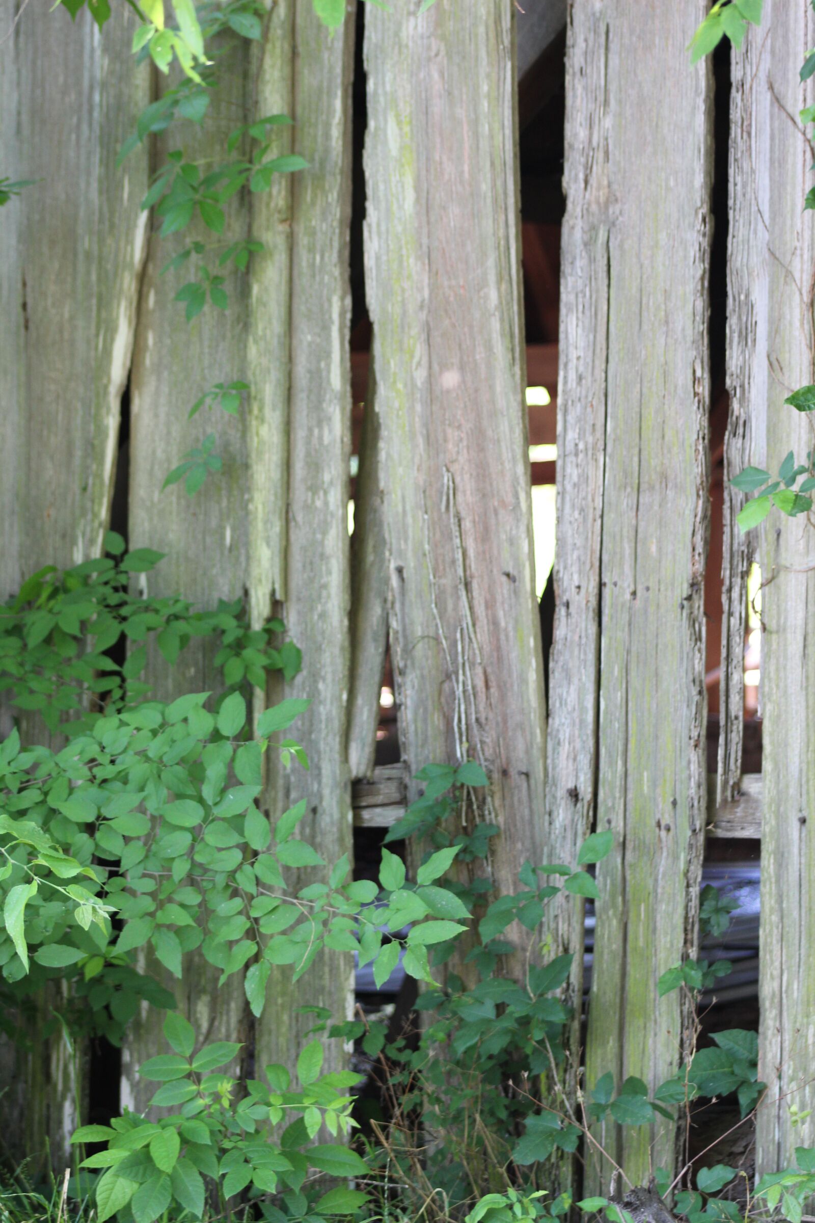 Canon EF75-300mm f/4-5.6 sample photo. Barn, barn board, weathered photography