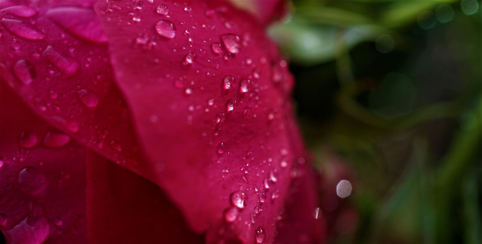 Sony E 30mm F3.5 Macro sample photo. Glitter, background, surface photography