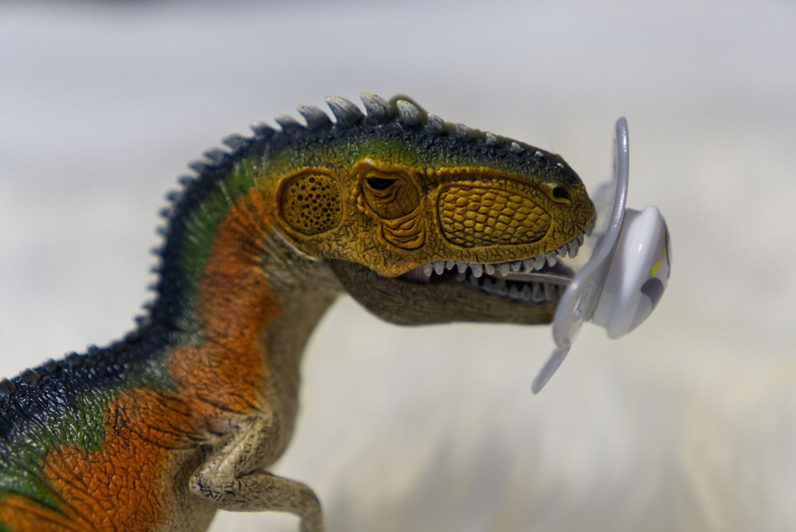 Sony a6000 sample photo. Dinosaur, pacifier, sucking photography