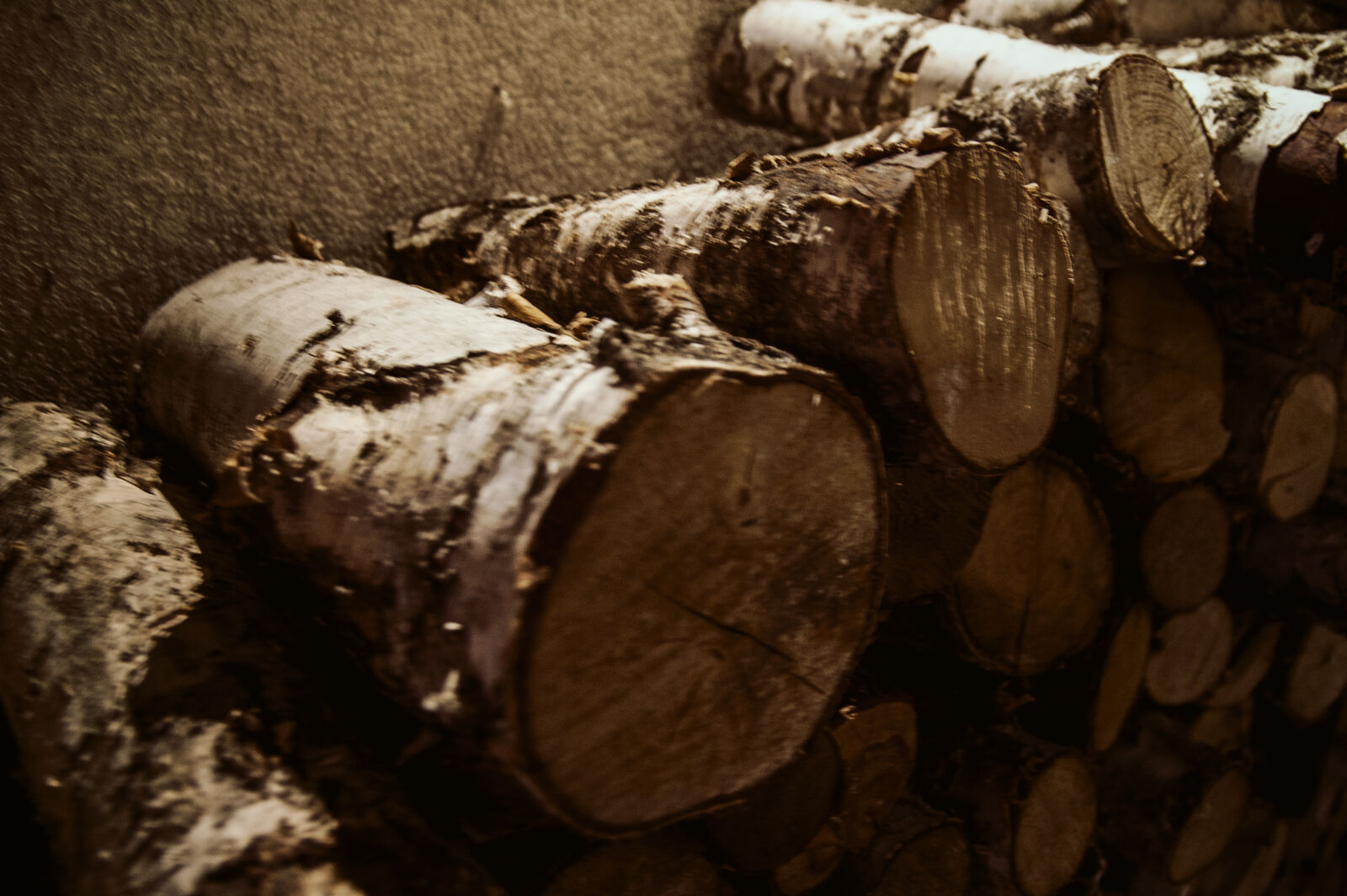 KONICA MINOLTA DYNAX 7D sample photo. Wood photography