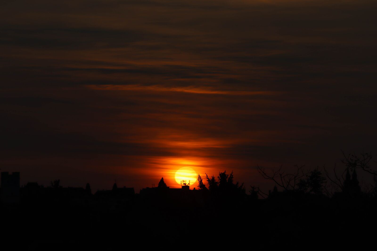 Canon EOS 250D (EOS Rebel SL3 / EOS Kiss X10 / EOS 200D II) sample photo. Morning, sun, sunrise photography