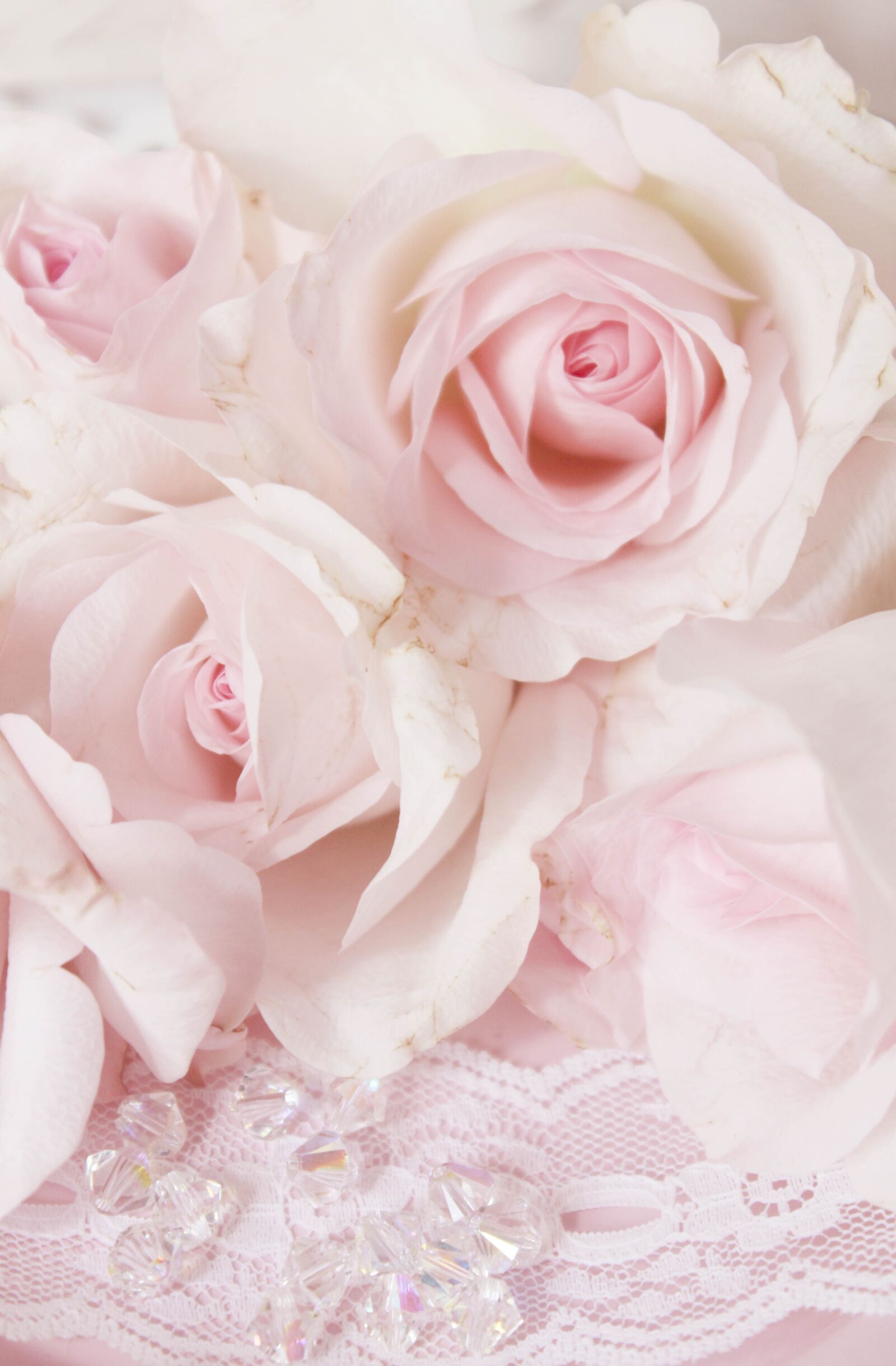 Canon EOS 600D (Rebel EOS T3i / EOS Kiss X5) sample photo. Vintage, pink, roses photography