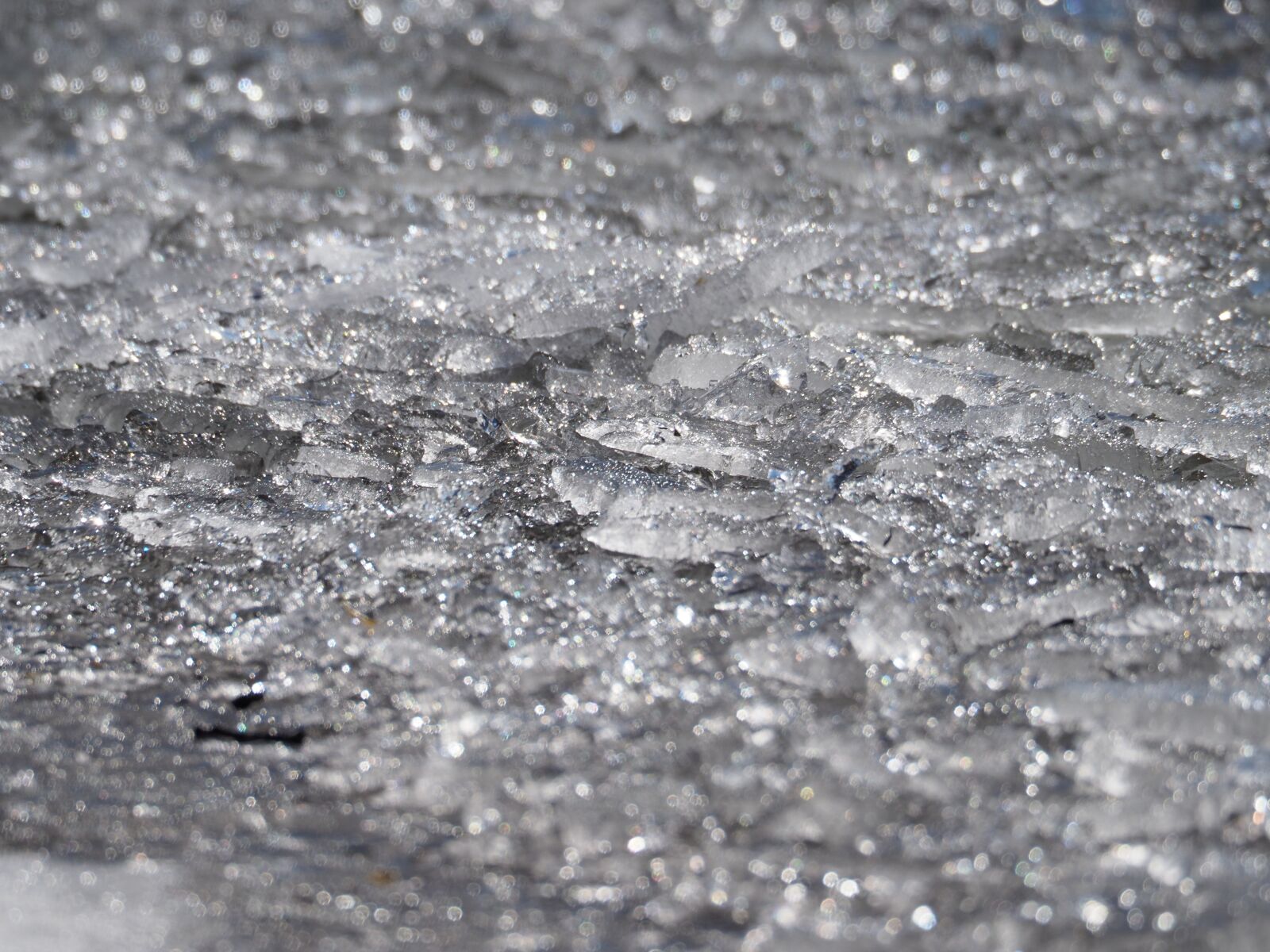 Olympus OM-D E-M1 Mark II sample photo. Ice, cold, frost photography