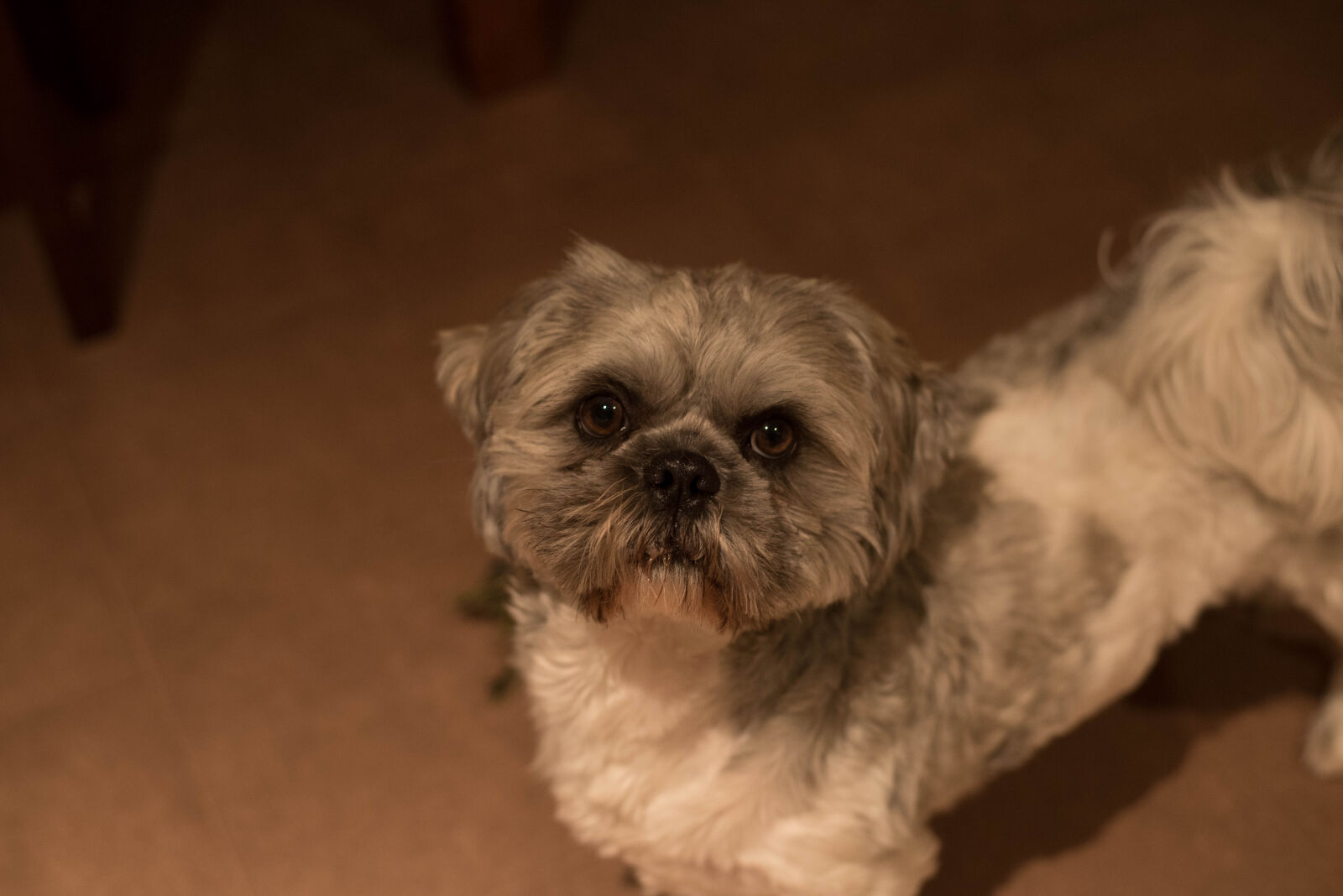 Nikon D750 + Nikon AF-S Nikkor 50mm F1.8G sample photo. Night photography
