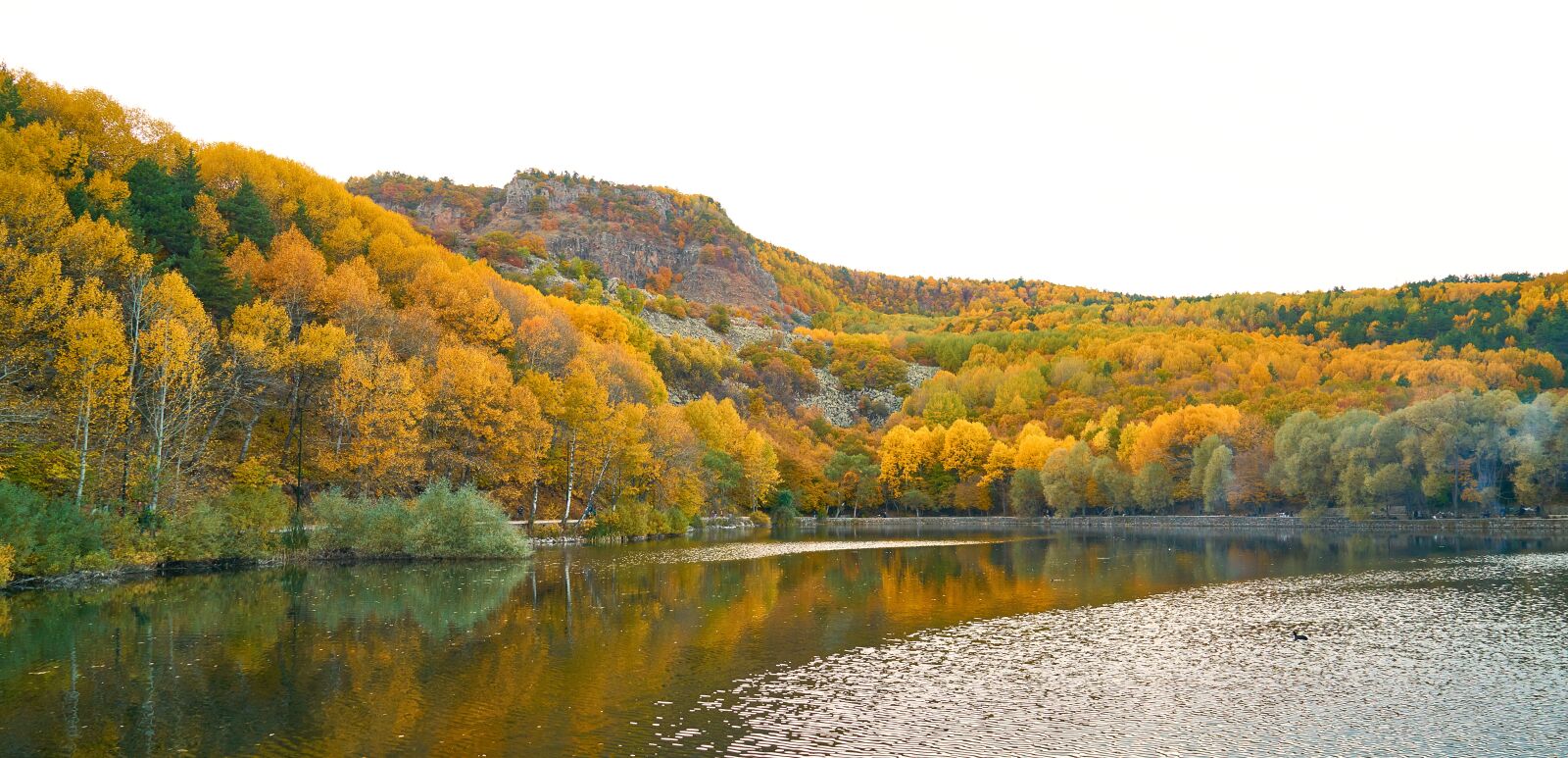 Sony a7R II sample photo. Autumn, trees, lake photography