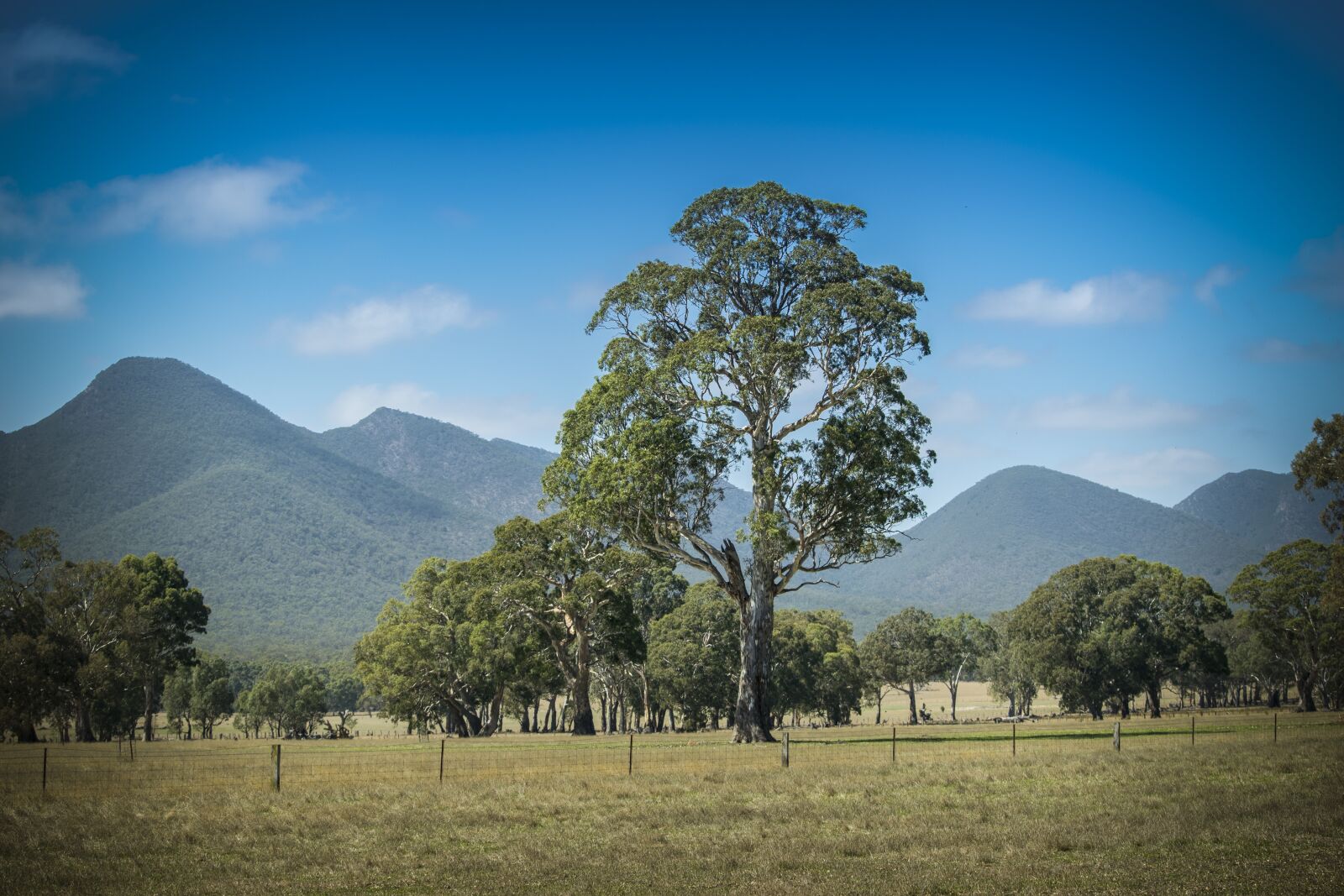 Nikon D5300 sample photo. Mountains, mountain range, grampians photography