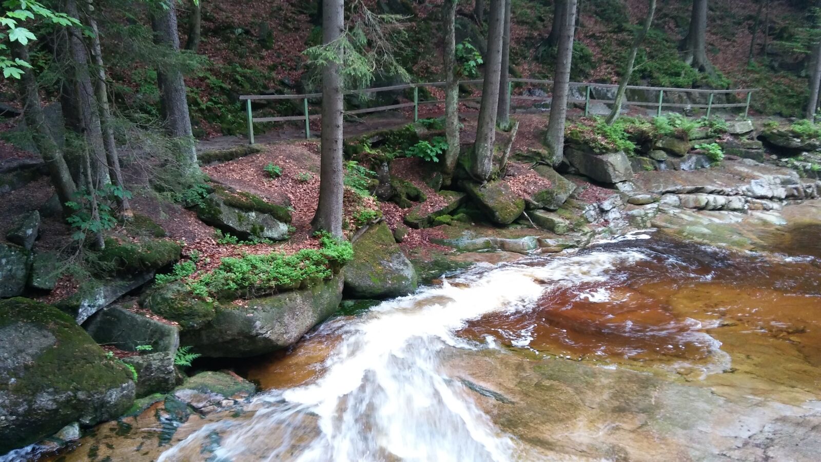LG K10 sample photo. Harrachov, forest, water photography