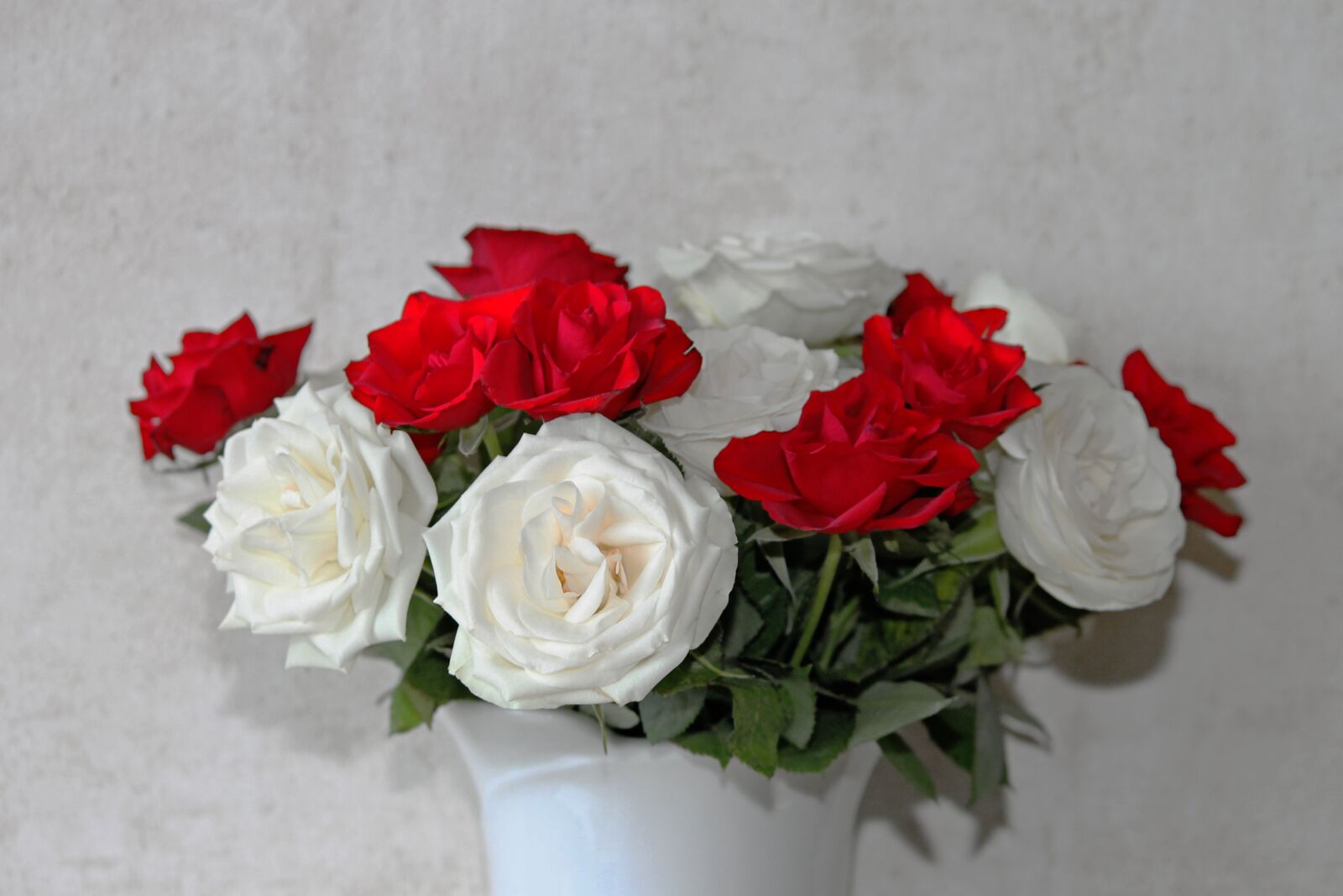 Canon EOS 1100D (EOS Rebel T3 / EOS Kiss X50) sample photo. Roses, bouquet of roses photography
