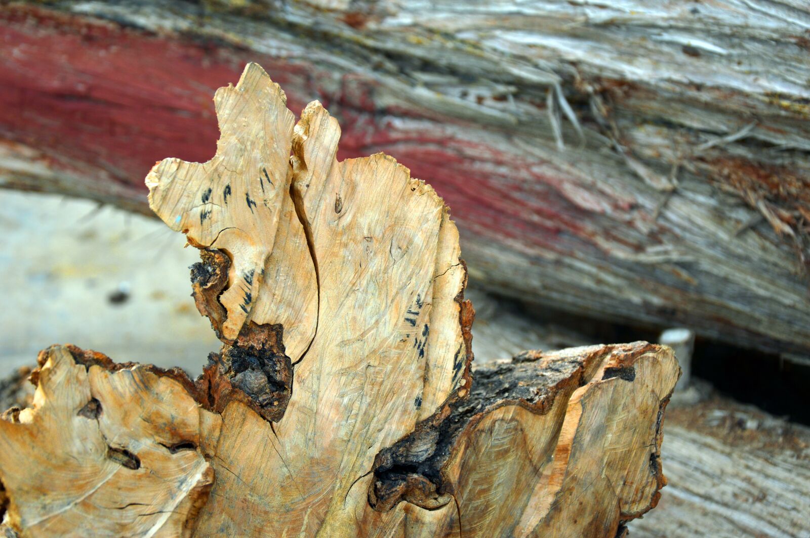 Nikon D3200 sample photo. Wood, olive wood, olive photography