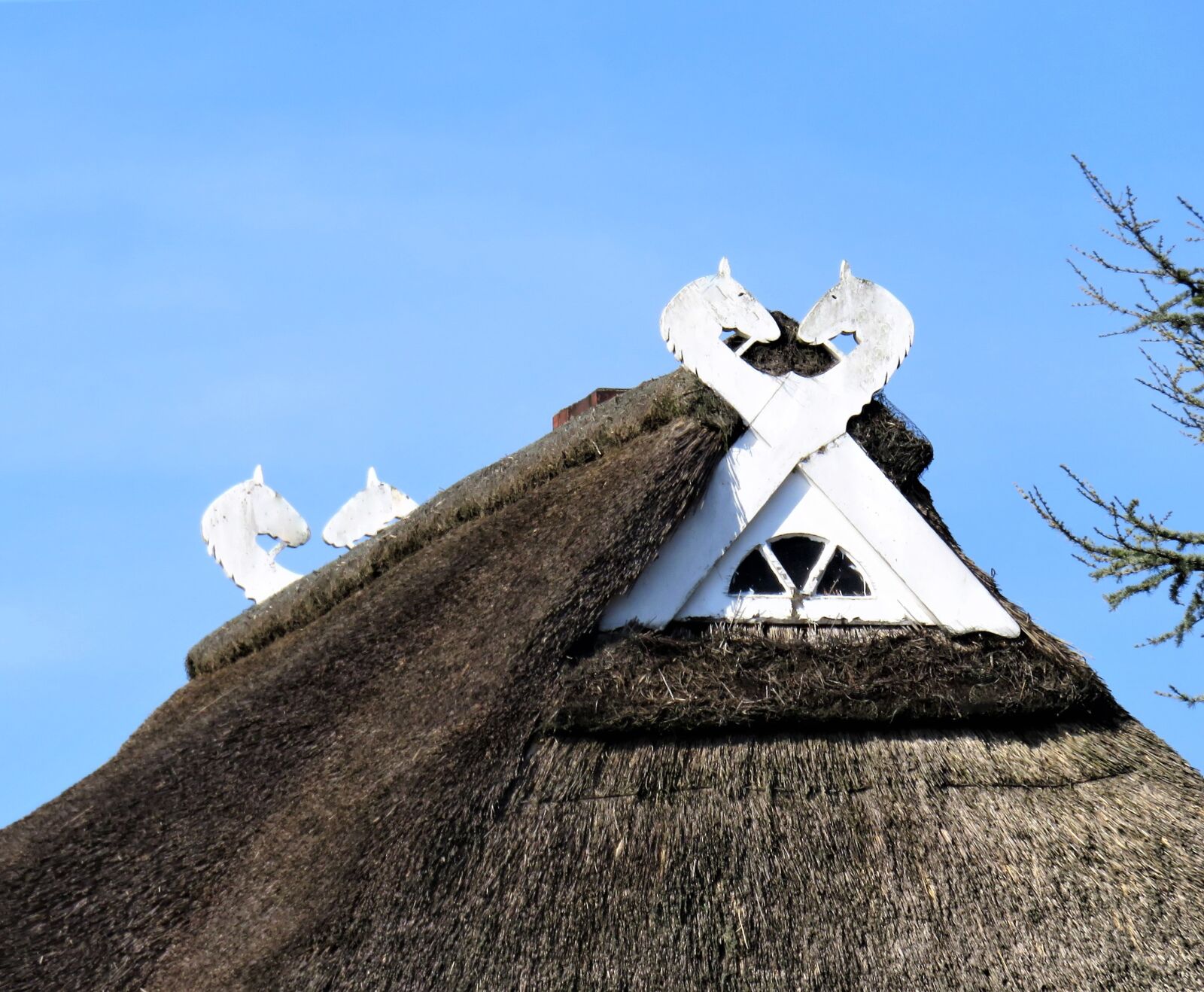 Canon PowerShot SX710 HS sample photo. Roof, thatched roof, architecture photography