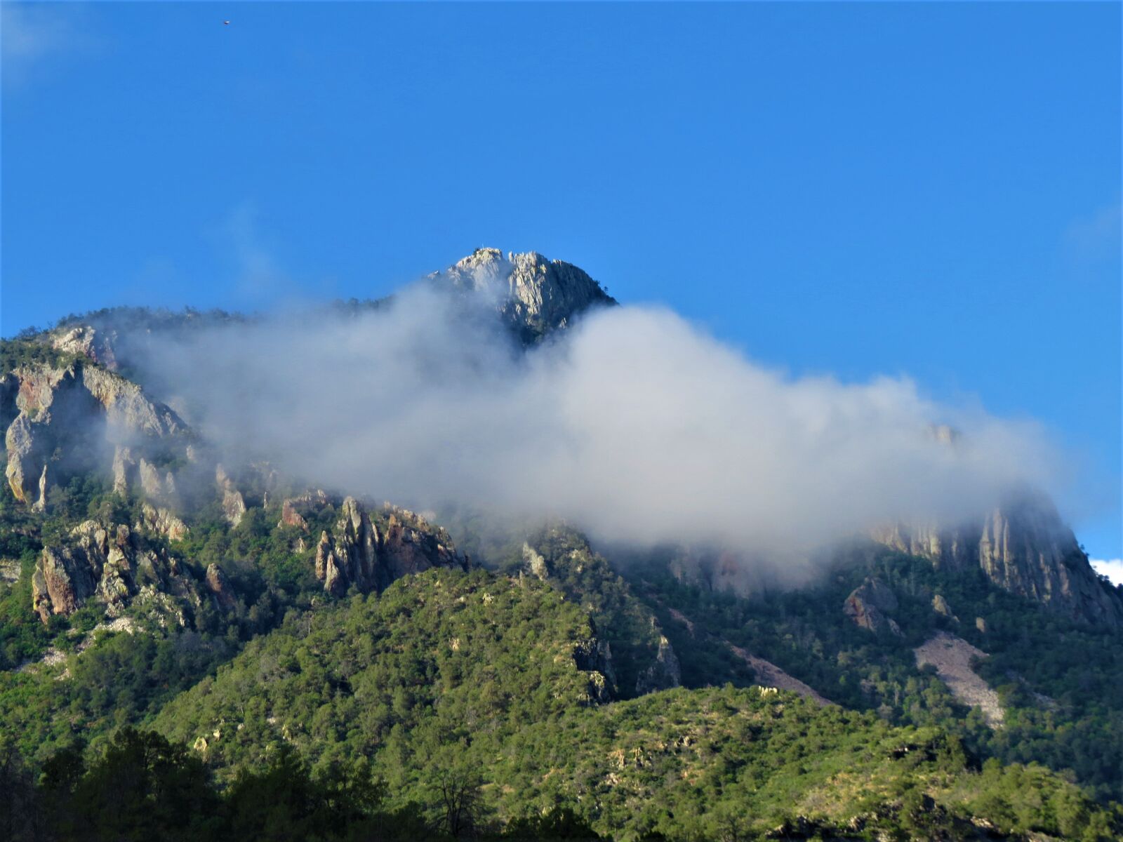 Canon PowerShot SX50 HS sample photo. Mountain, cloud, landscape photography