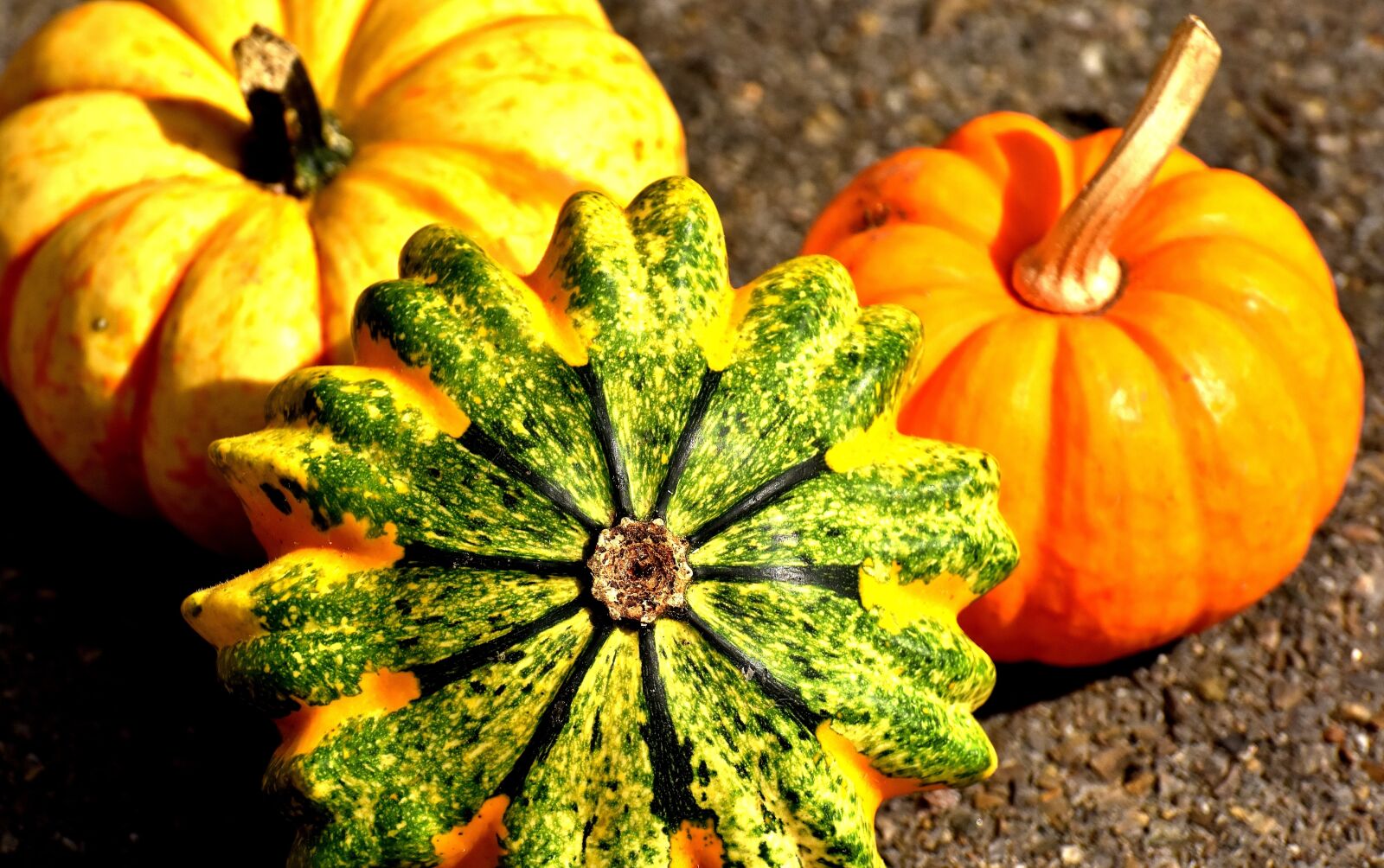 Nikon D7200 sample photo. Pumpkins, colorful, autumn photography