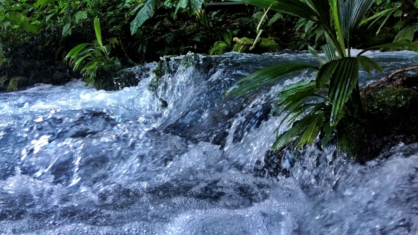 Motorola Moto G (4) sample photo. Creek, mountain, nature, water photography