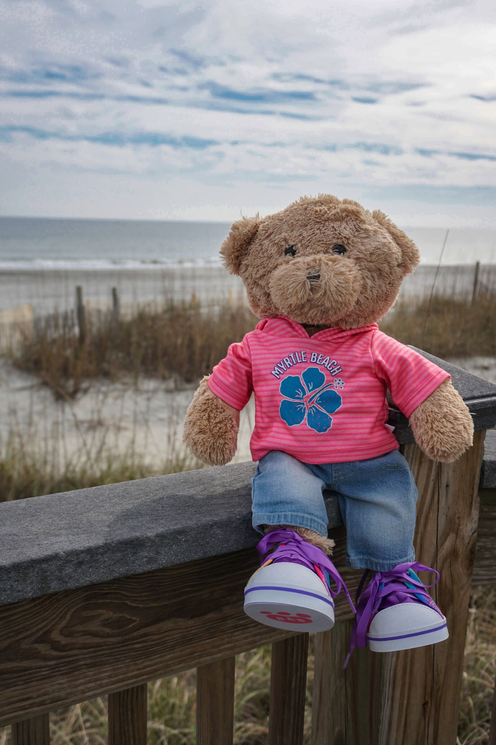 Sony a6300 sample photo. Teddy bear, teddy, bear photography
