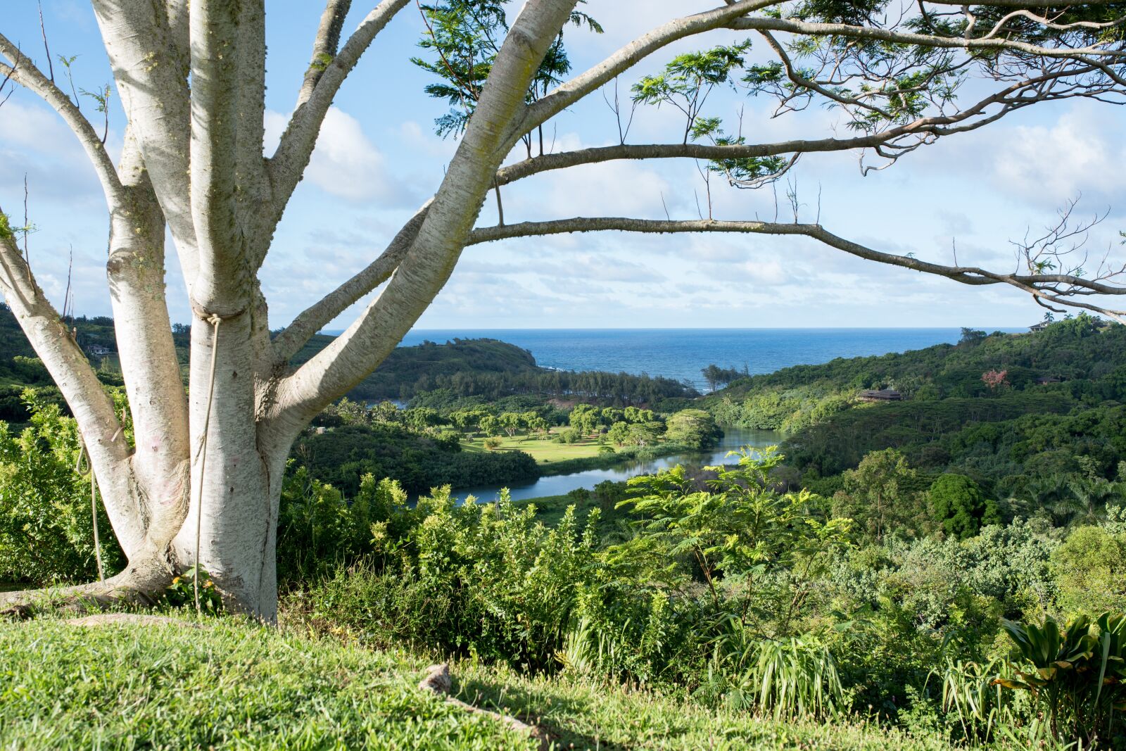 Nikon D750 sample photo. Ocean, view, river photography