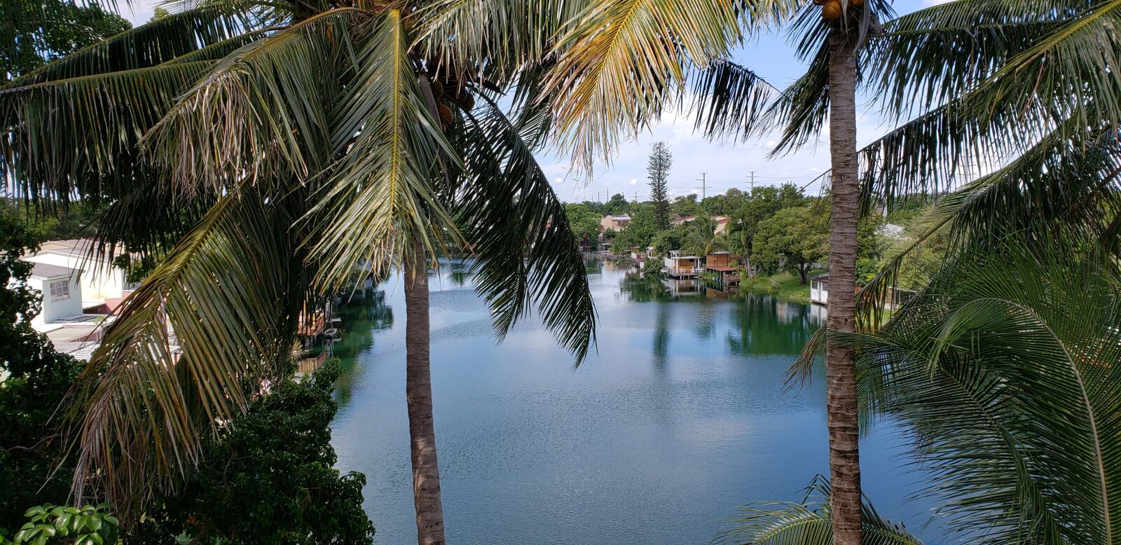 Samsung Galaxy S9+ sample photo. Lake, hialeah, florida photography