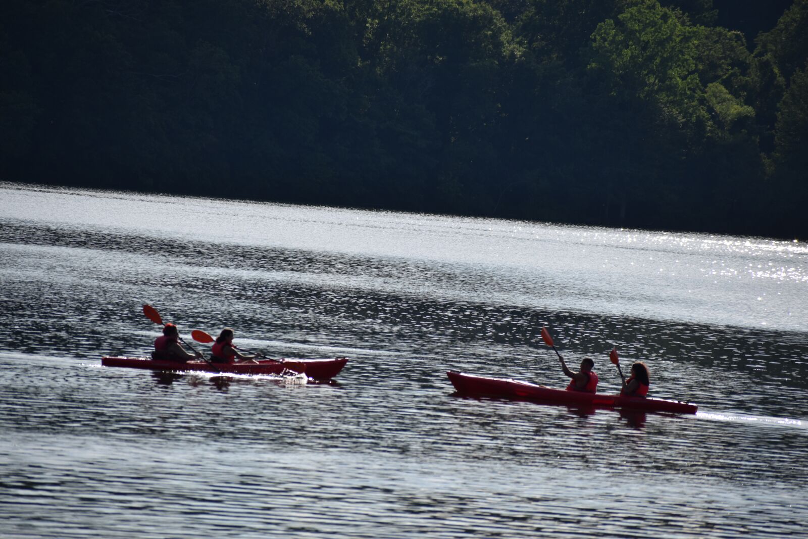 Nikon D5600 sample photo. Kayak, lake, water photography