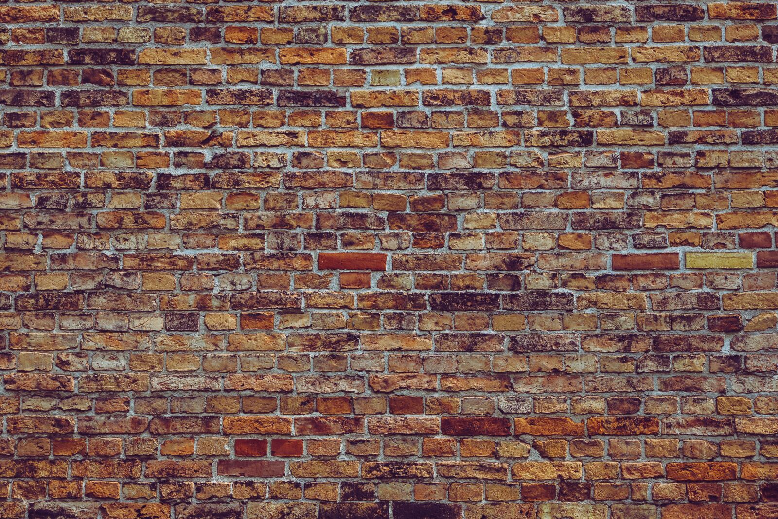 Nikon D610 sample photo. Wall, brick wall, background photography