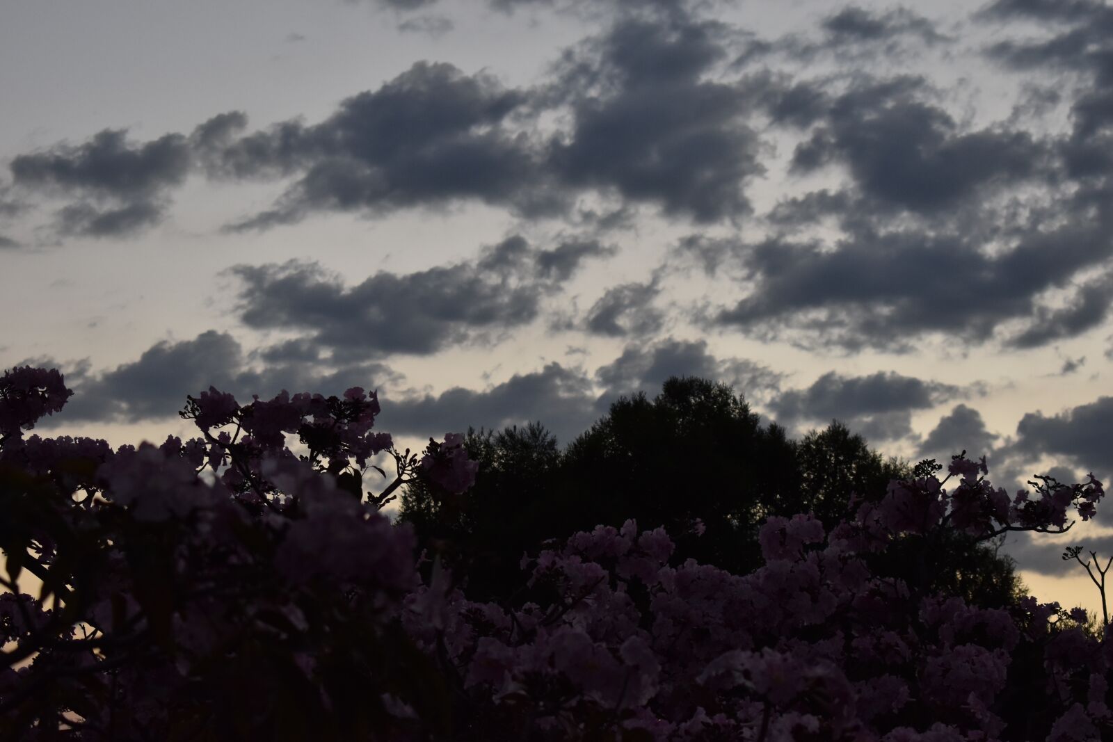 Nikon D5600 sample photo. Noche, naturaleza, cielo photography