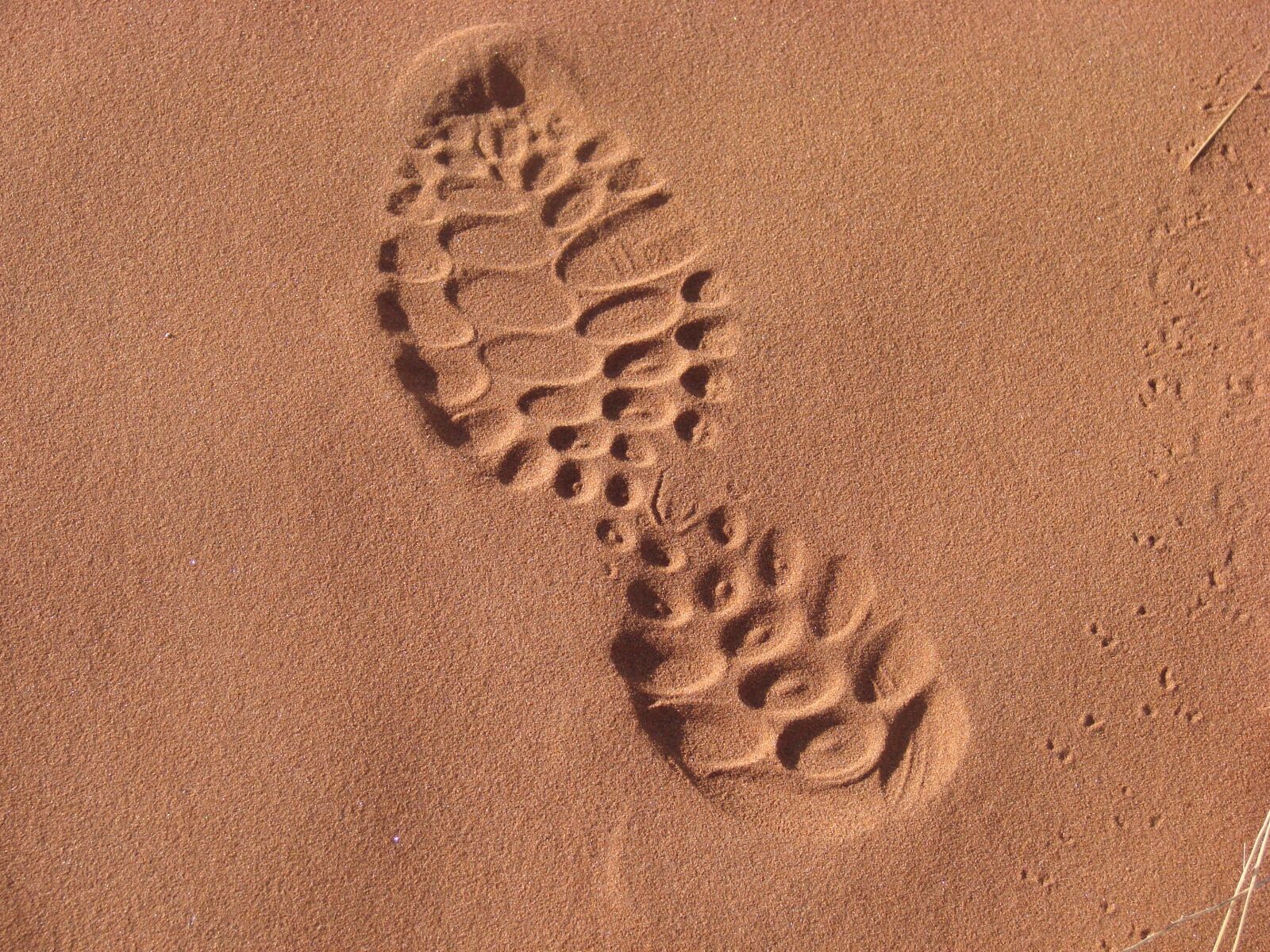 Sony DSC-H5 sample photo. Sand, sole, footprint photography