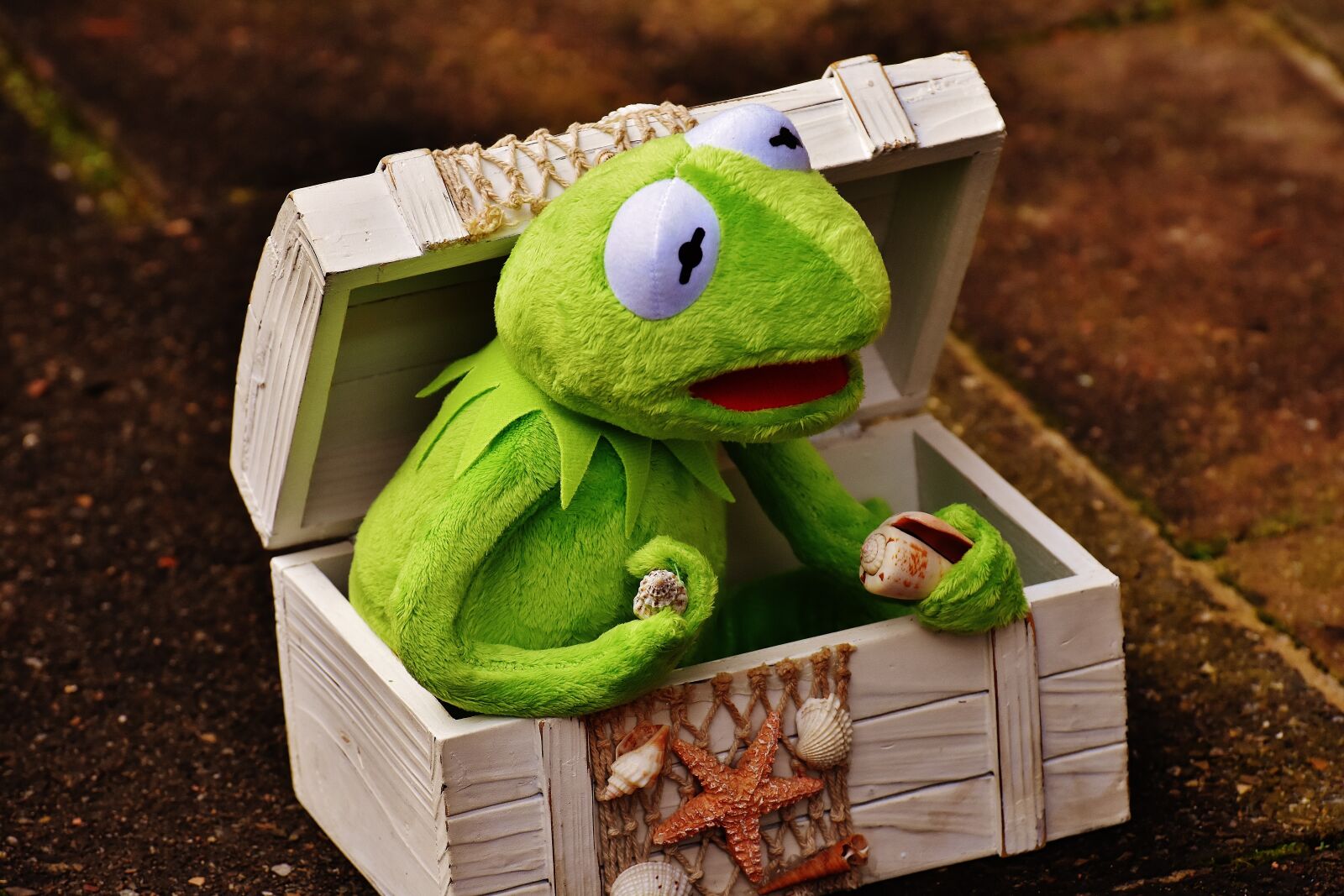 Nikon D7200 sample photo. Kermit, frog, chest photography