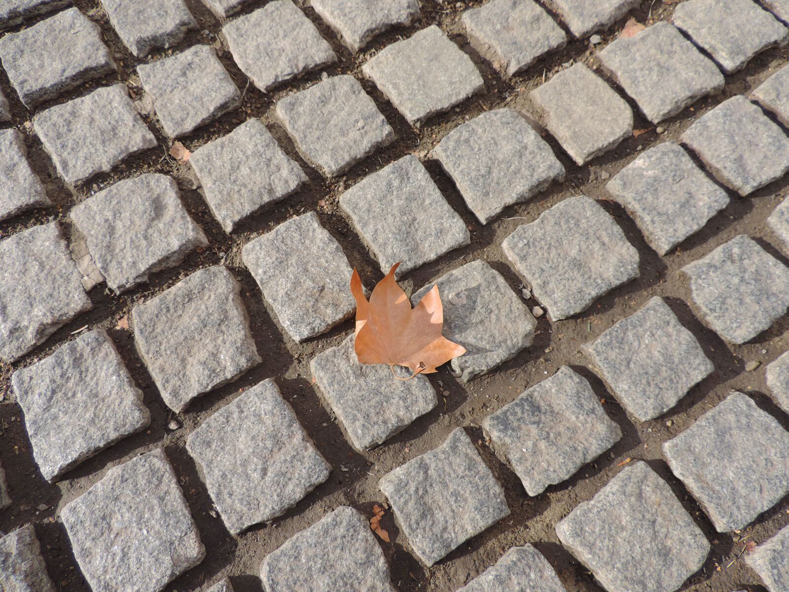 Nikon Coolpix P520 sample photo. Urban, stone, concrete, expression photography