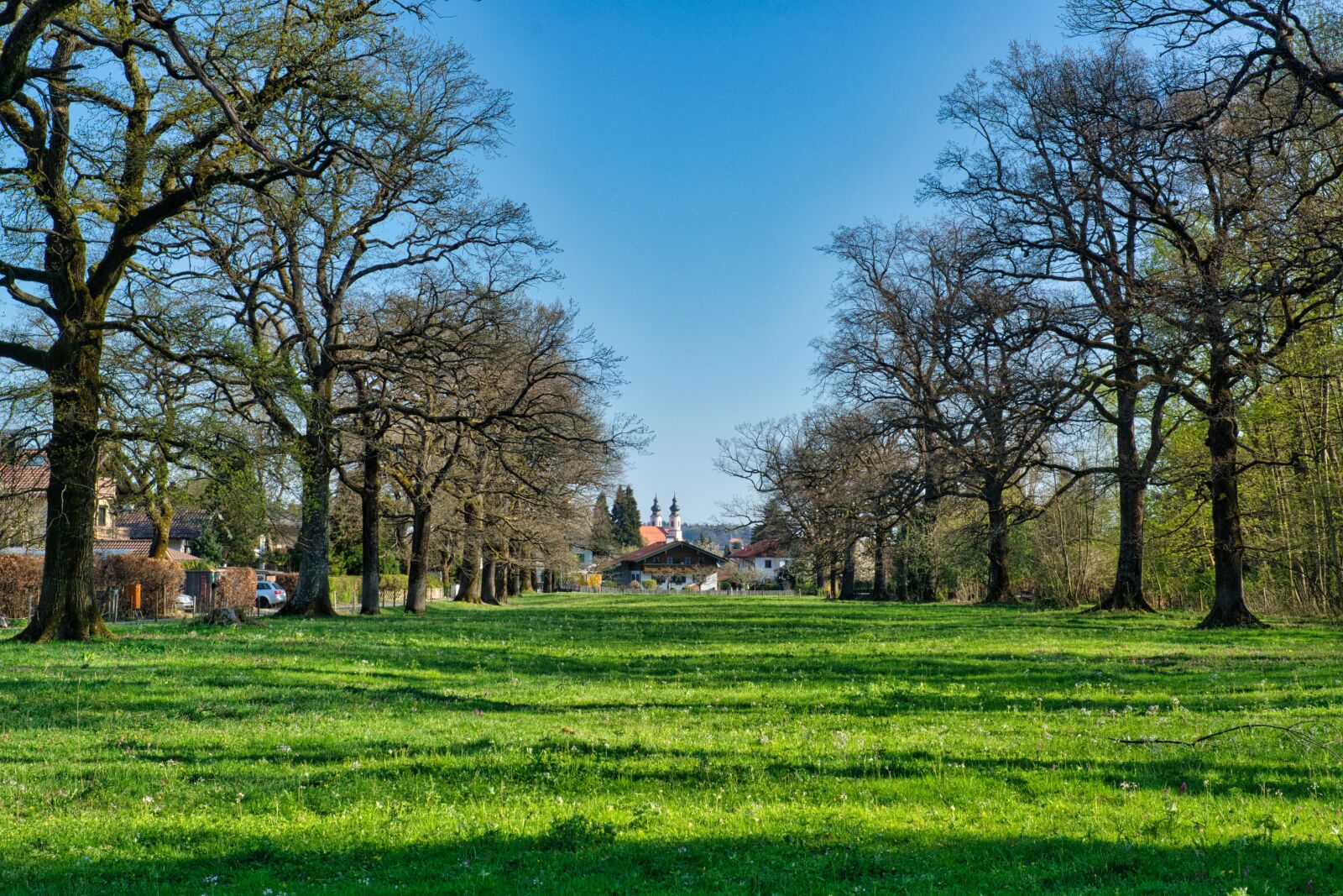 Nikon D7100 sample photo. Spring, panorama, trees photography