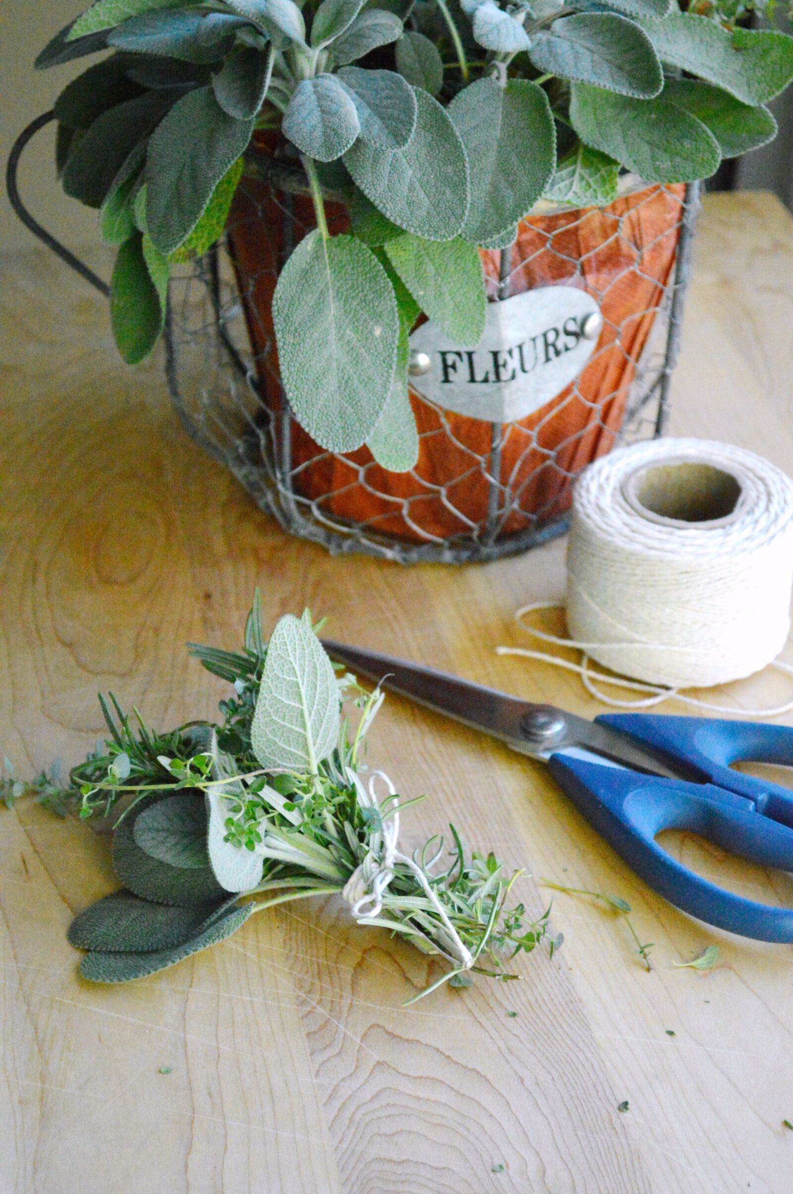 Nikon D3200 sample photo. Bouquet garni, herbs, fresh photography