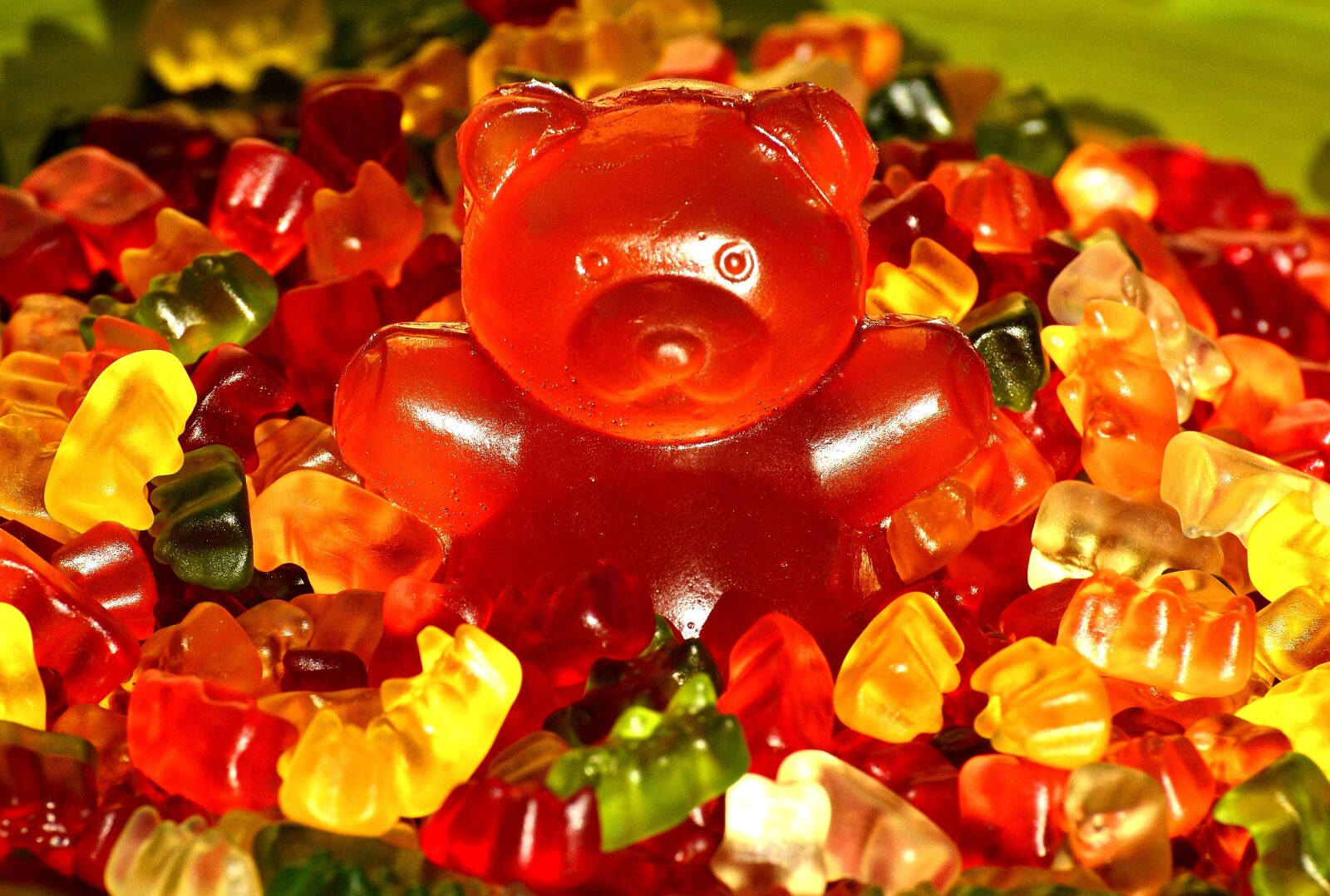 Nikon D3200 sample photo. Gummib rchen, giant rubber photography