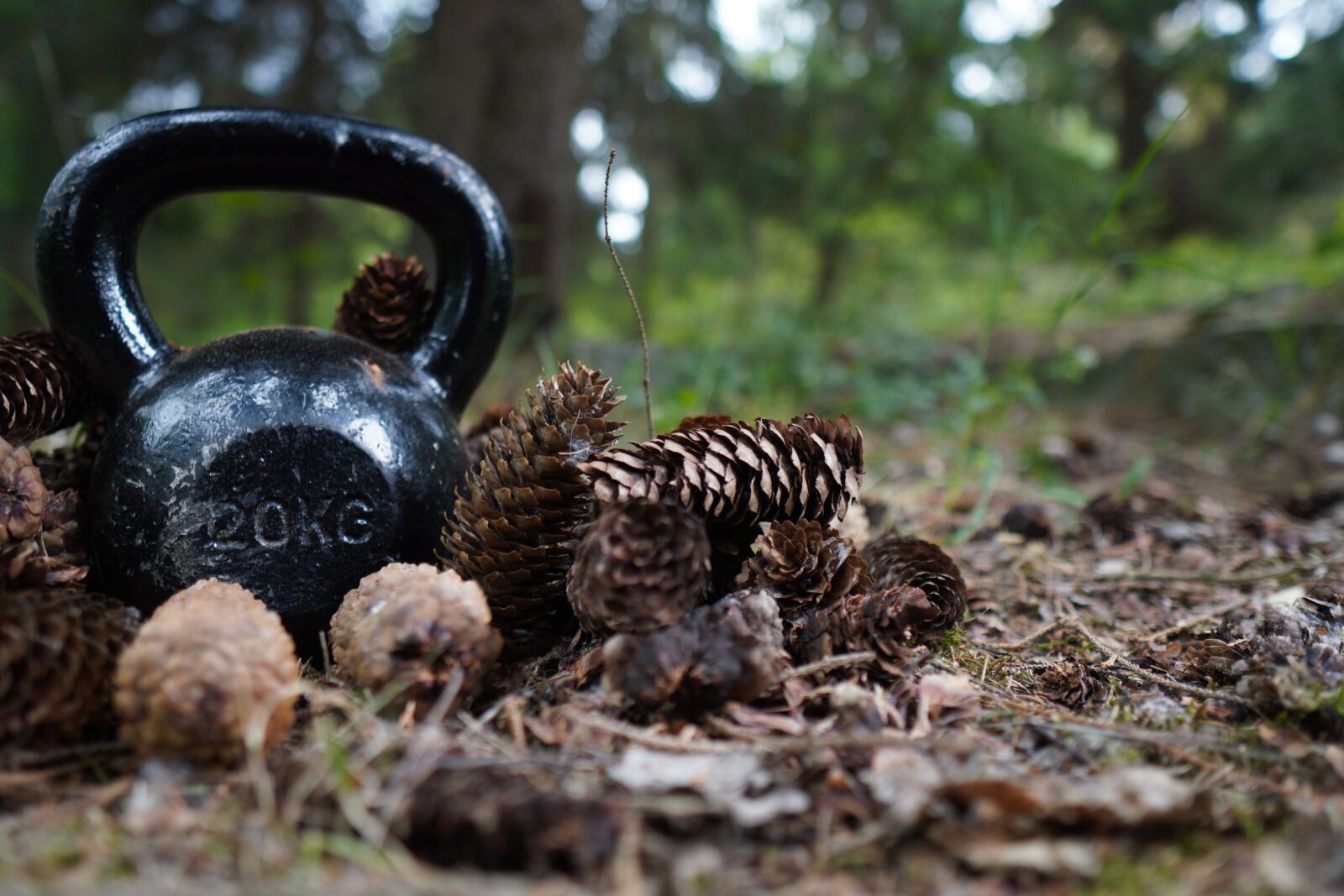 Sony a6400 + Sigma 16mm F1.4 DC DN | C sample photo. Carnivore, kettlebell, trening photography